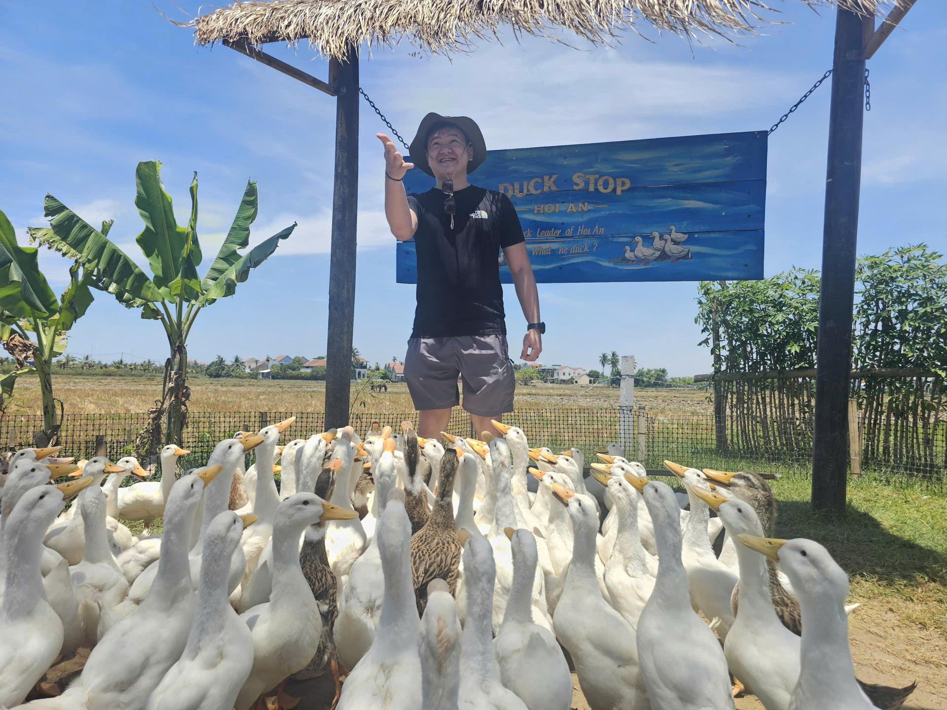 From Hoi An: Duck Stop, Basket Boat and Cooking Class - Thumbnail 4