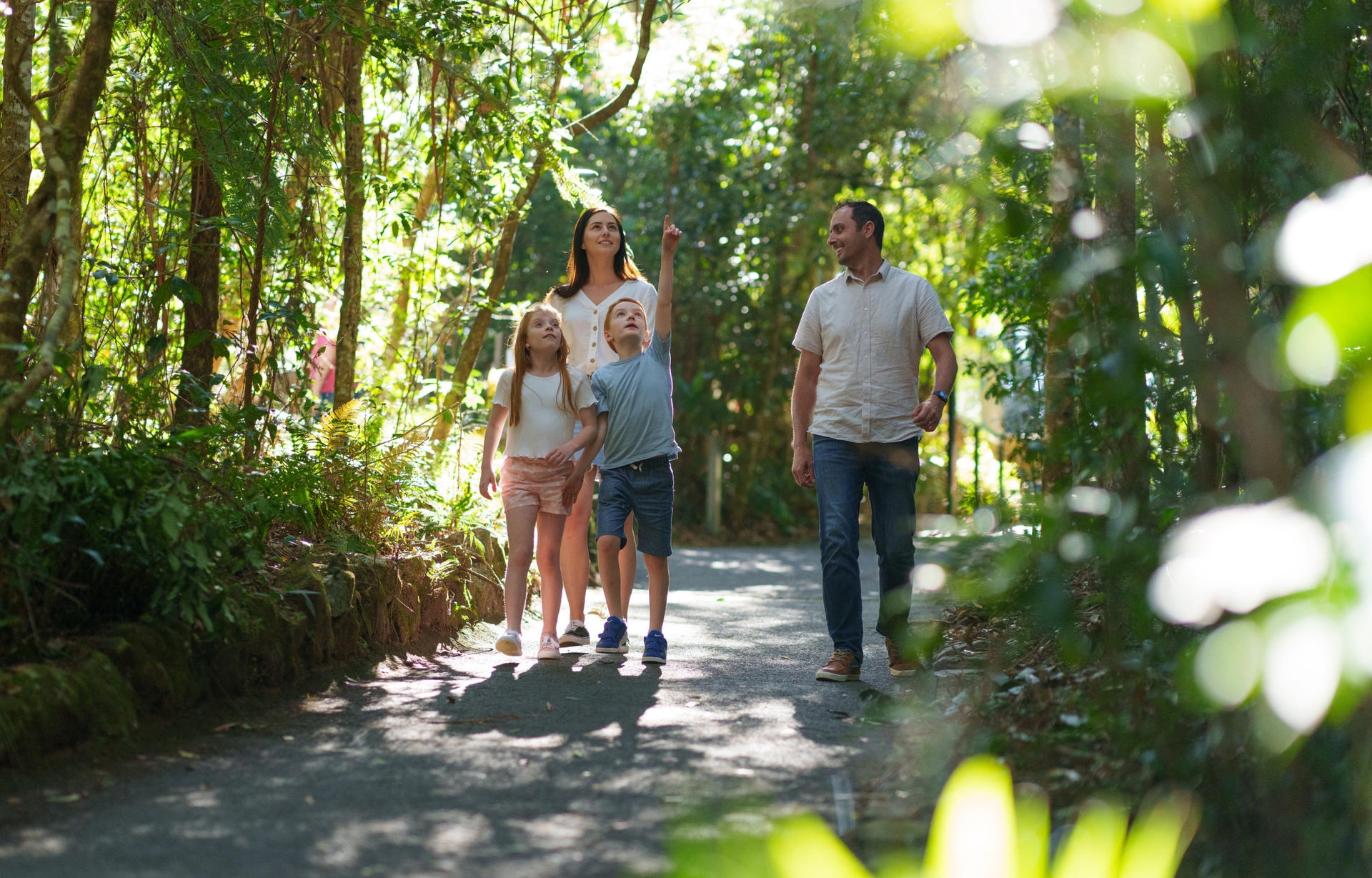 Natural Bridge and Springbrook Waterfalls Tour from Gold Coast - Thumbnail 3