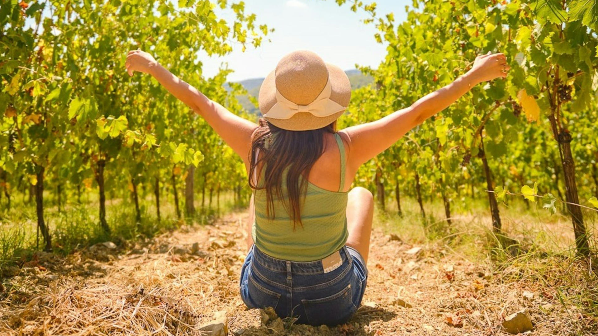 Chianti Vineyards half day tour with wine tasting from Florence - Thumbnail 6