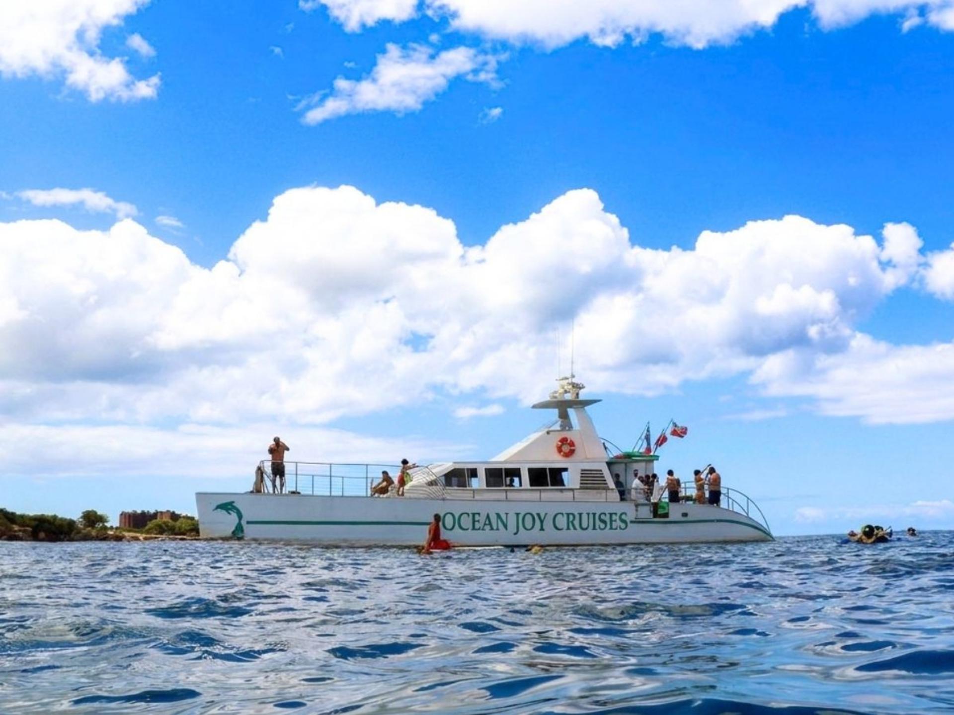 Luxury Afternoon Snorkeling Cruise and Dolphin Watch from Ko Olina - Thumbnail 3