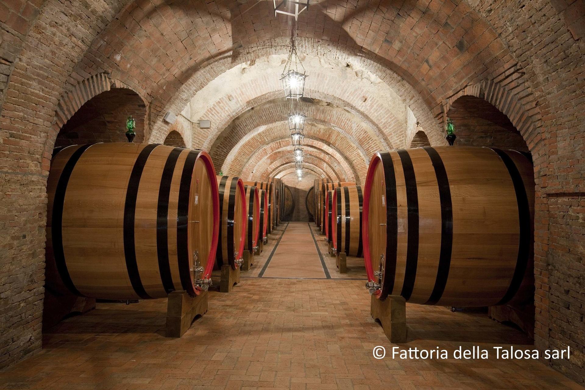 Wine tasting tour in Montepulciano with lunch in wine cellar - Thumbnail 2