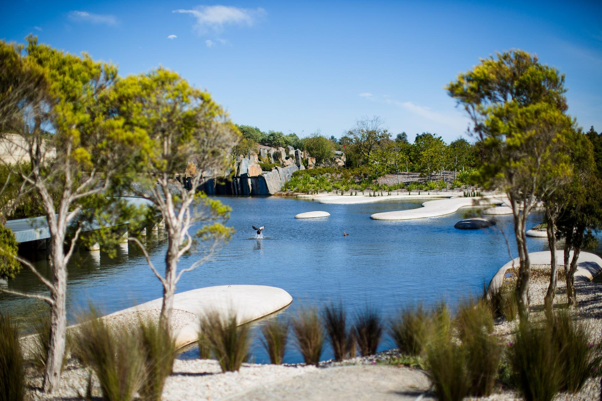 Royal Botanic Gardens Cranbourne Tour - Thumbnail 5