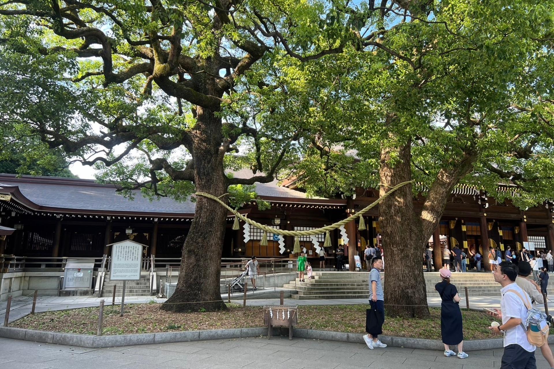 Tokyo Meiji Shrine Cultural Guided Walking Tour - Thumbnail 16