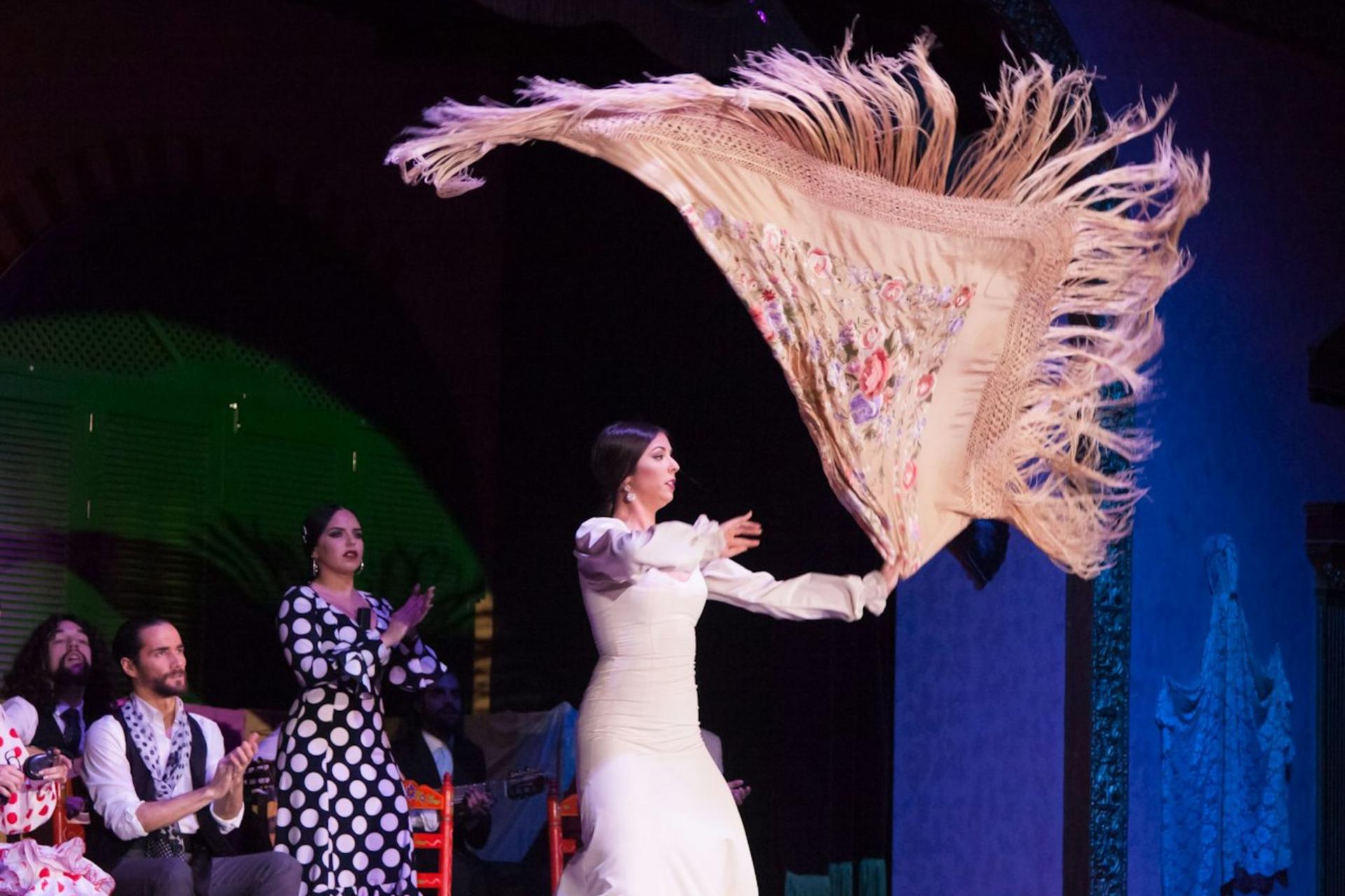 Flamenco show at El Palacio Andaluz in Seville - Thumbnail 7