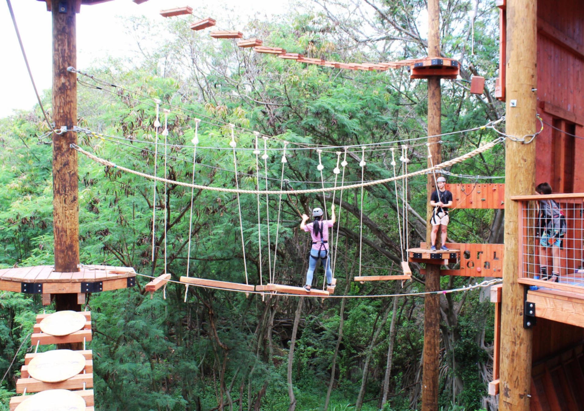 Adventure Course Experience in Oahu - Thumbnail 8