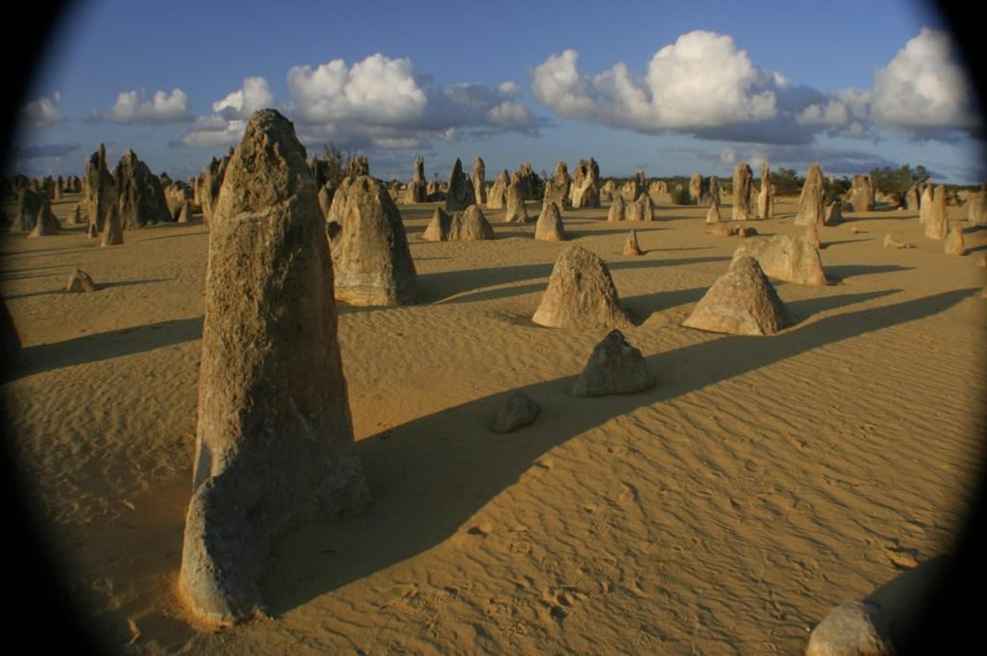 Pinnacles & Swan Vally Wine Day Tour - Thumbnail 5