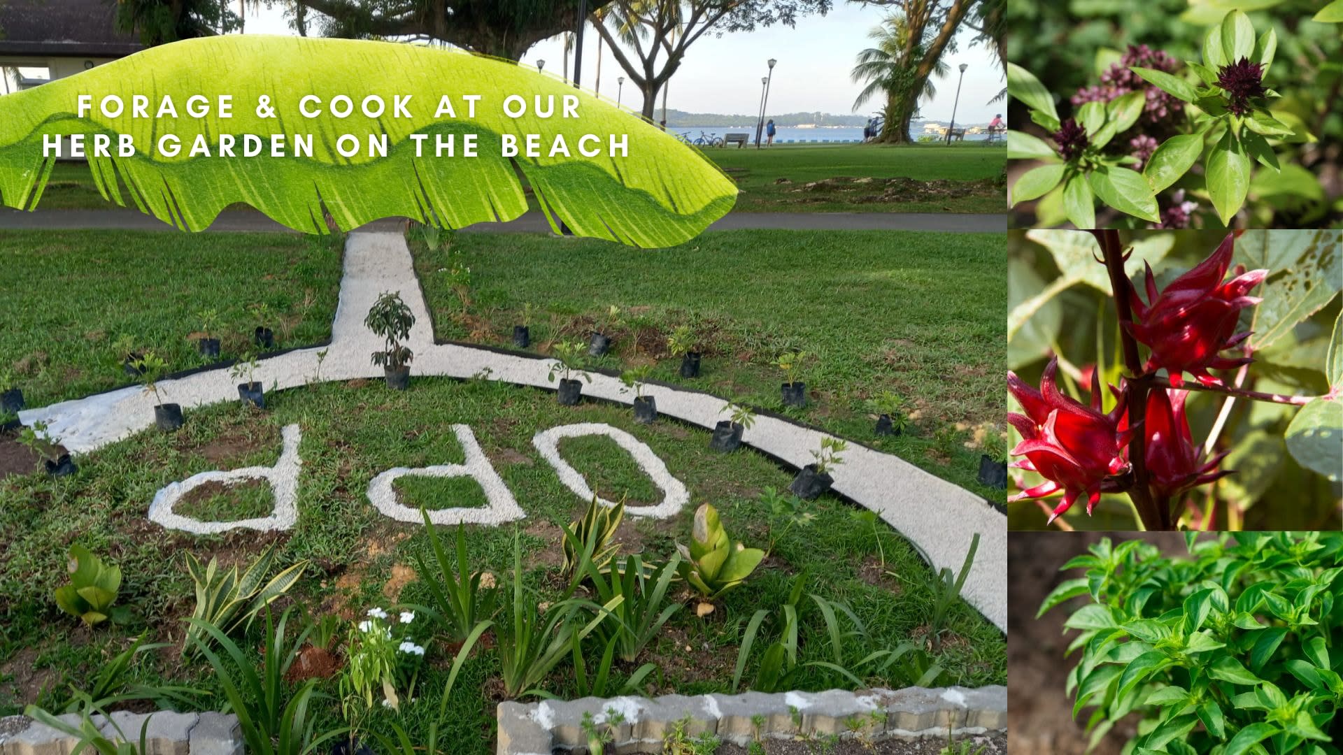 Traditional Nasi Lemak Cooking Class & History By the Beach!  - Thumbnail 6
