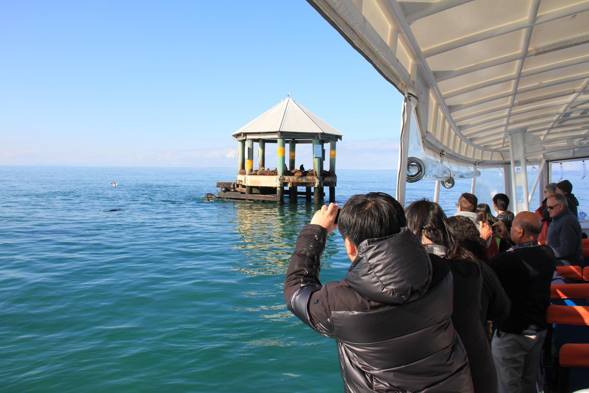 1.5 hour Scenic and Wildlife Adventure Cruise - Thumbnail 13