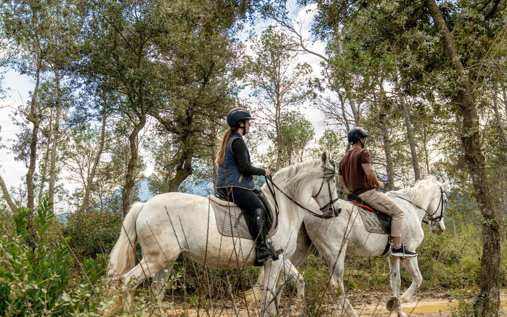 Montserrat Horse Riding Experience  - Thumbnail 9