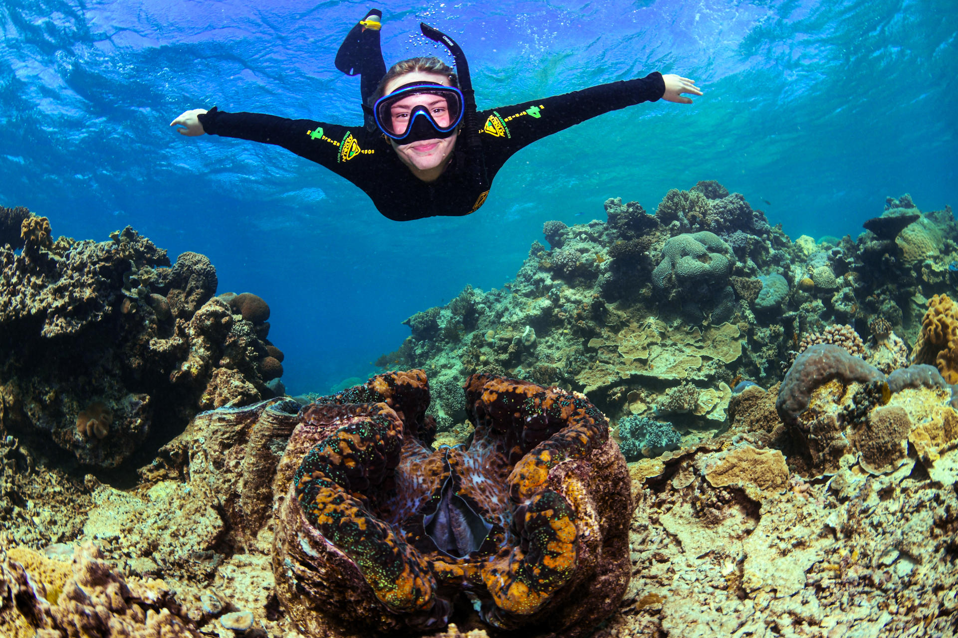 Half-Day Outer Reef Snorkel Experience from Cairns - Thumbnail 9