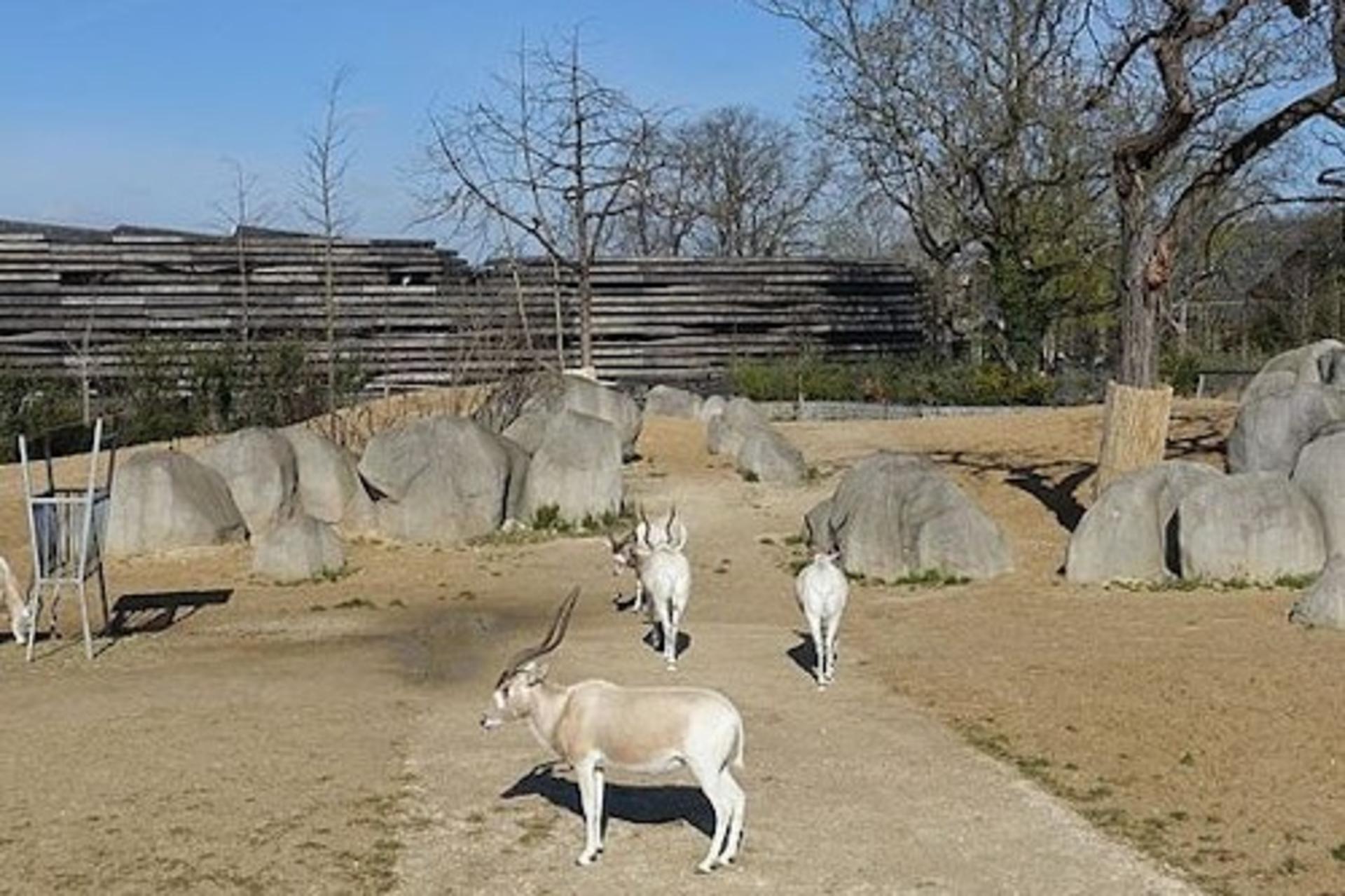 Parc Zoologique de Paris Admission in Paris - Thumbnail 2