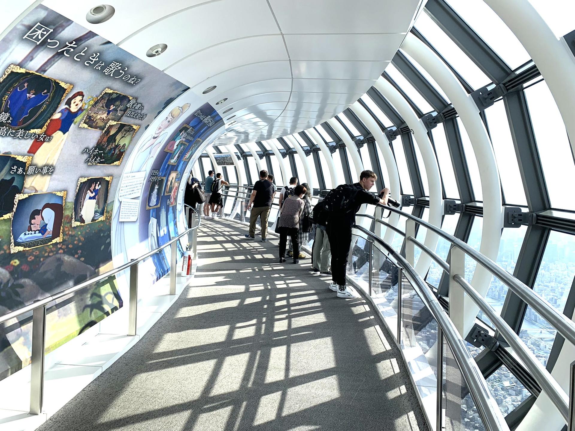 Tokyo: Skytree and Asakusa History Exploration - Thumbnail 6