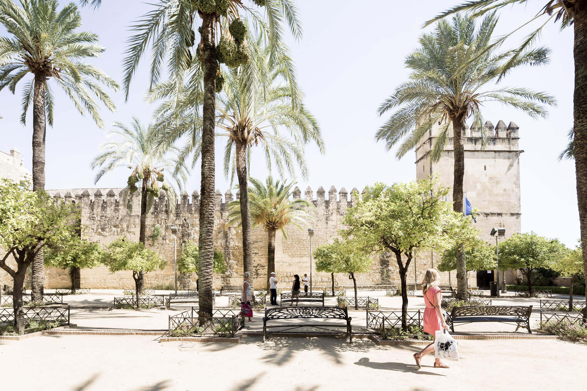 Cordoba Day Tour from Costa del Sol - Thumbnail 10