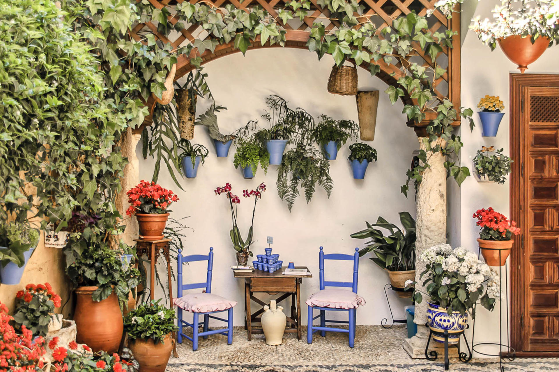Popular Patios of Cordoba Guided Tour - Image 1