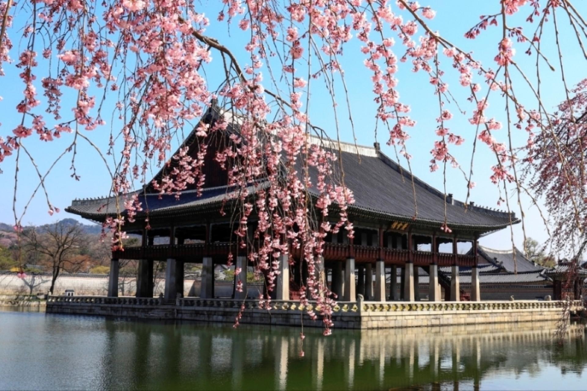 Seoul Private Half day Walking Tour - Thumbnail 18