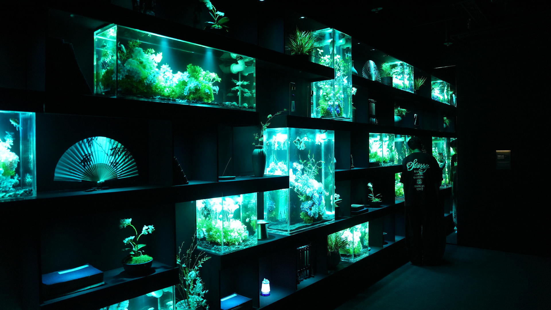Lotte World Aquarium Tickets - Thumbnail 3