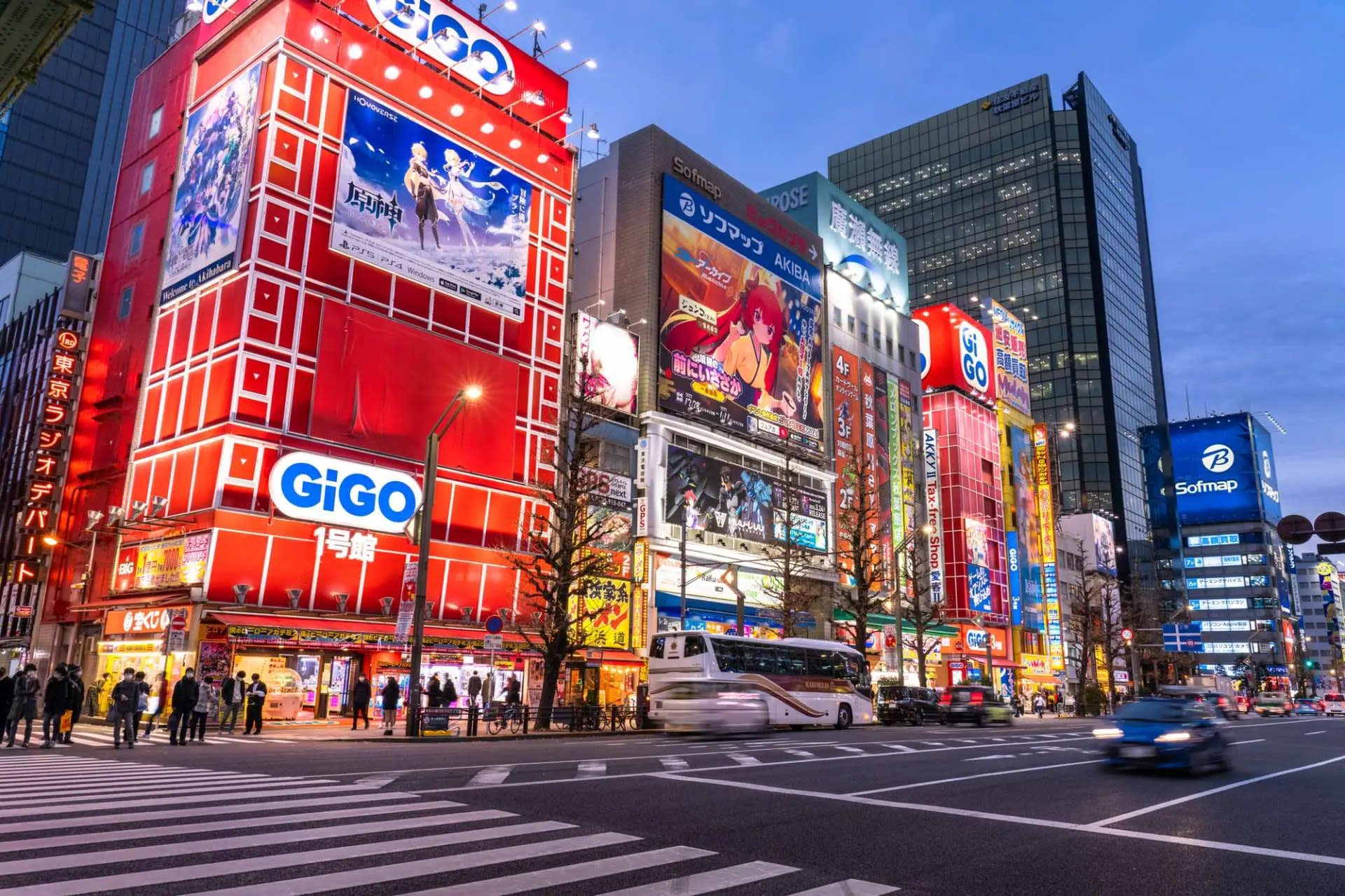 Tokyo Private Chartered Car Day Tour (Customizable Itinerary) - Thumbnail 12