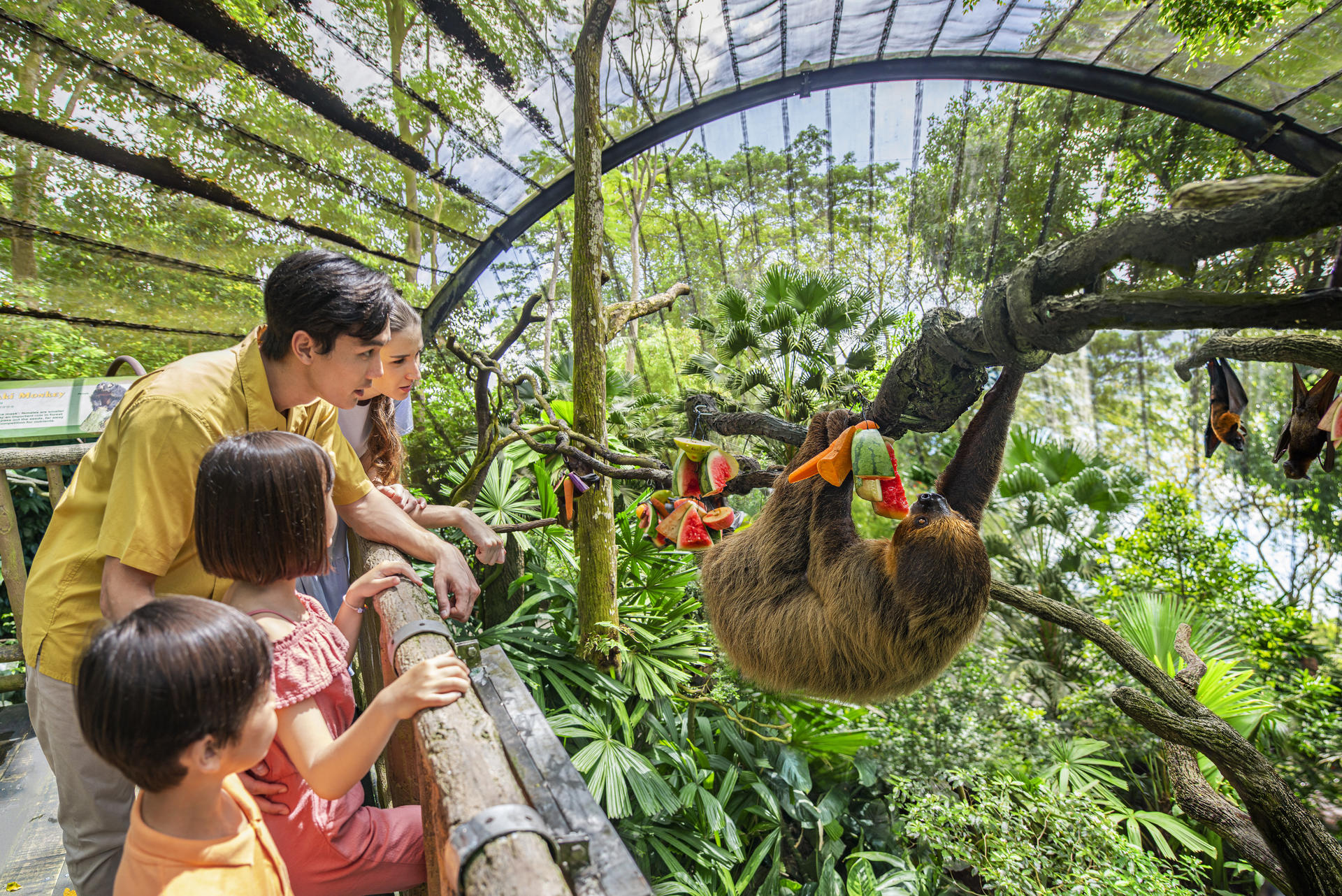 Singapore Zoo Ticket | Mandai Wildlife Reserve, Singapore - Image 1