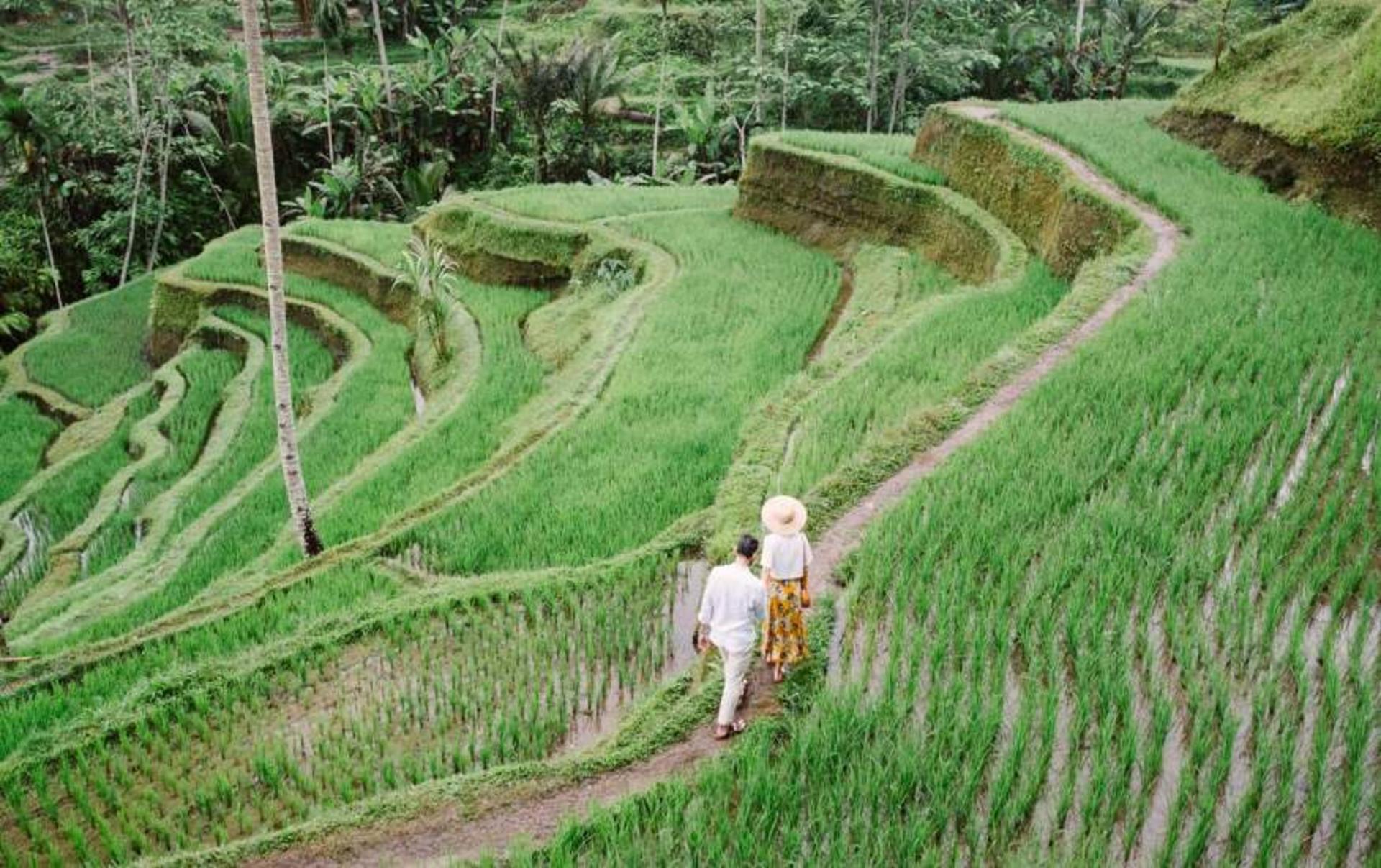 Popular Babi Guling (Suckling Pork) with Sightseeing Tour in Bali - Thumbnail 4