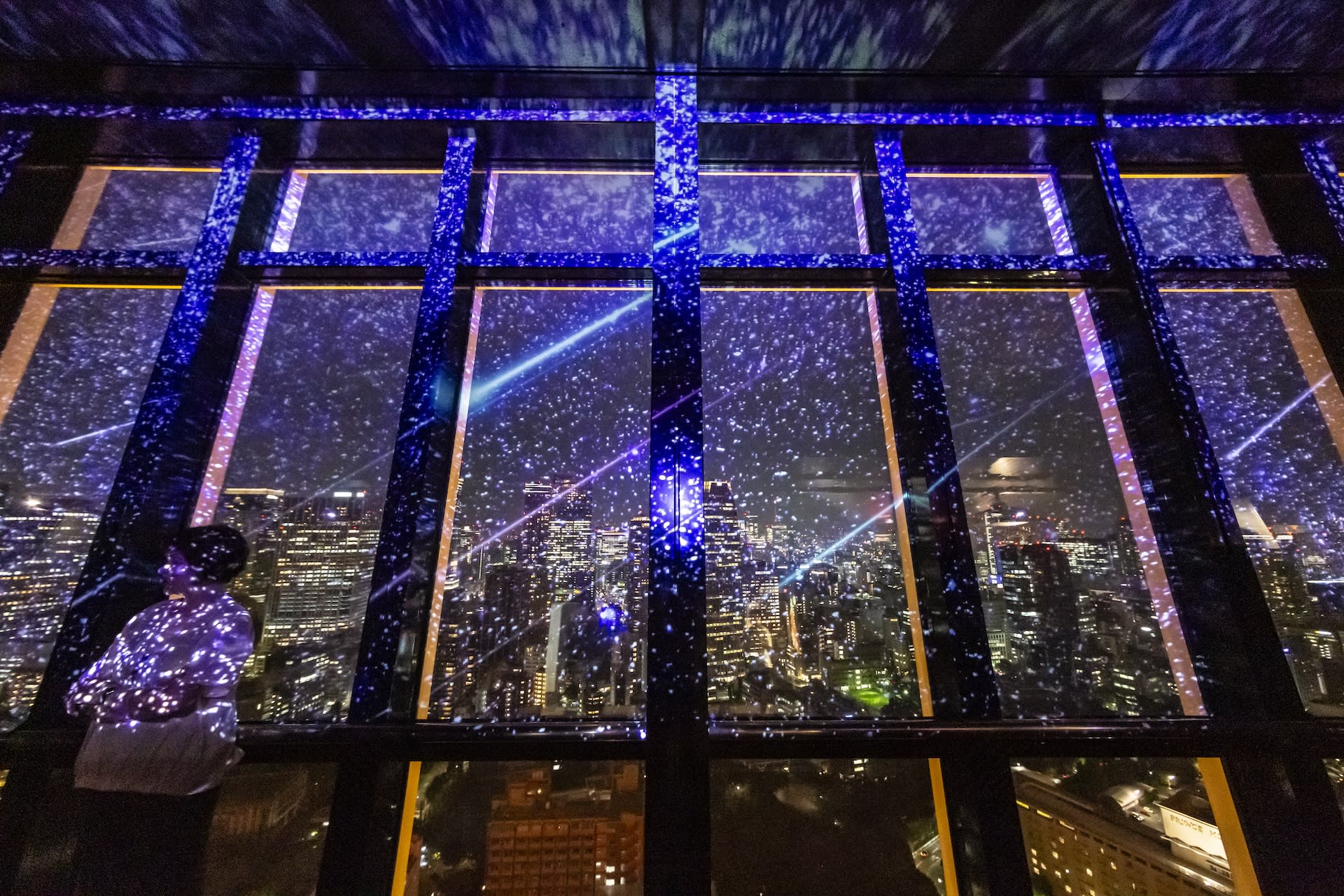 Tokyo Tower Ticket - Thumbnail 2