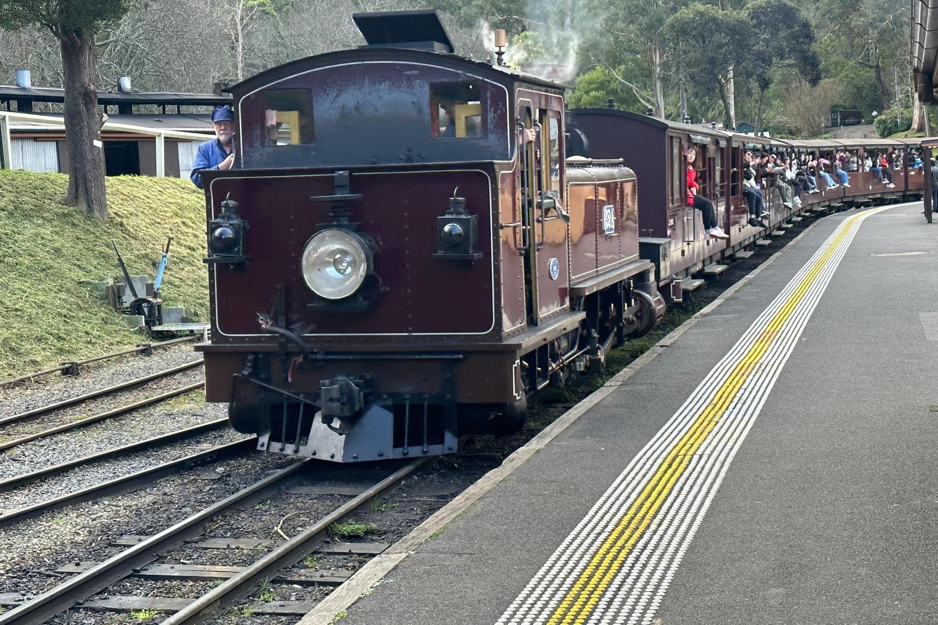 Puffing Billy and Phillip Island Wildlife Day Tour - Thumbnail 6