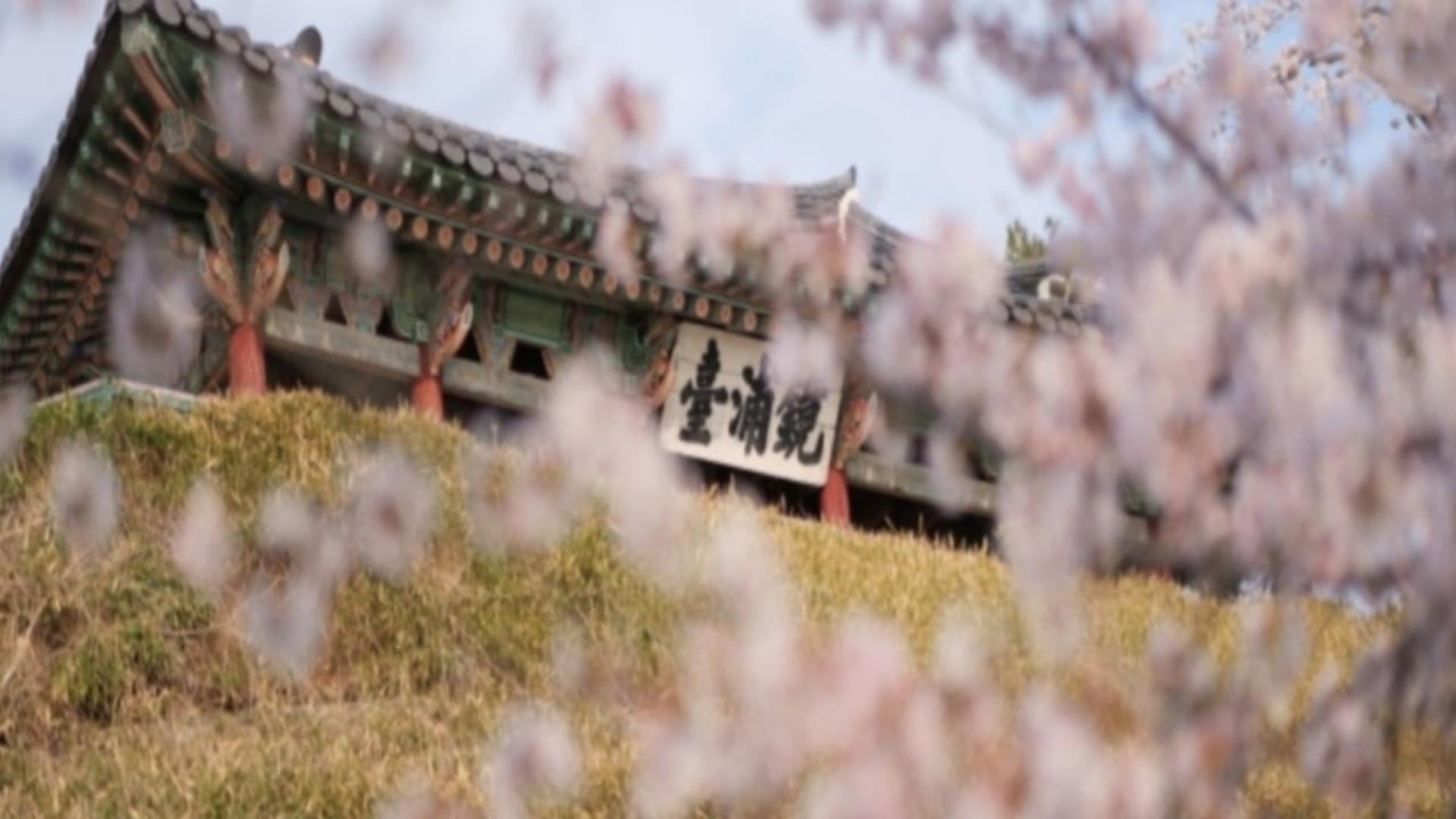 Gangneung Starlight Tour from Seoul - Thumbnail 4