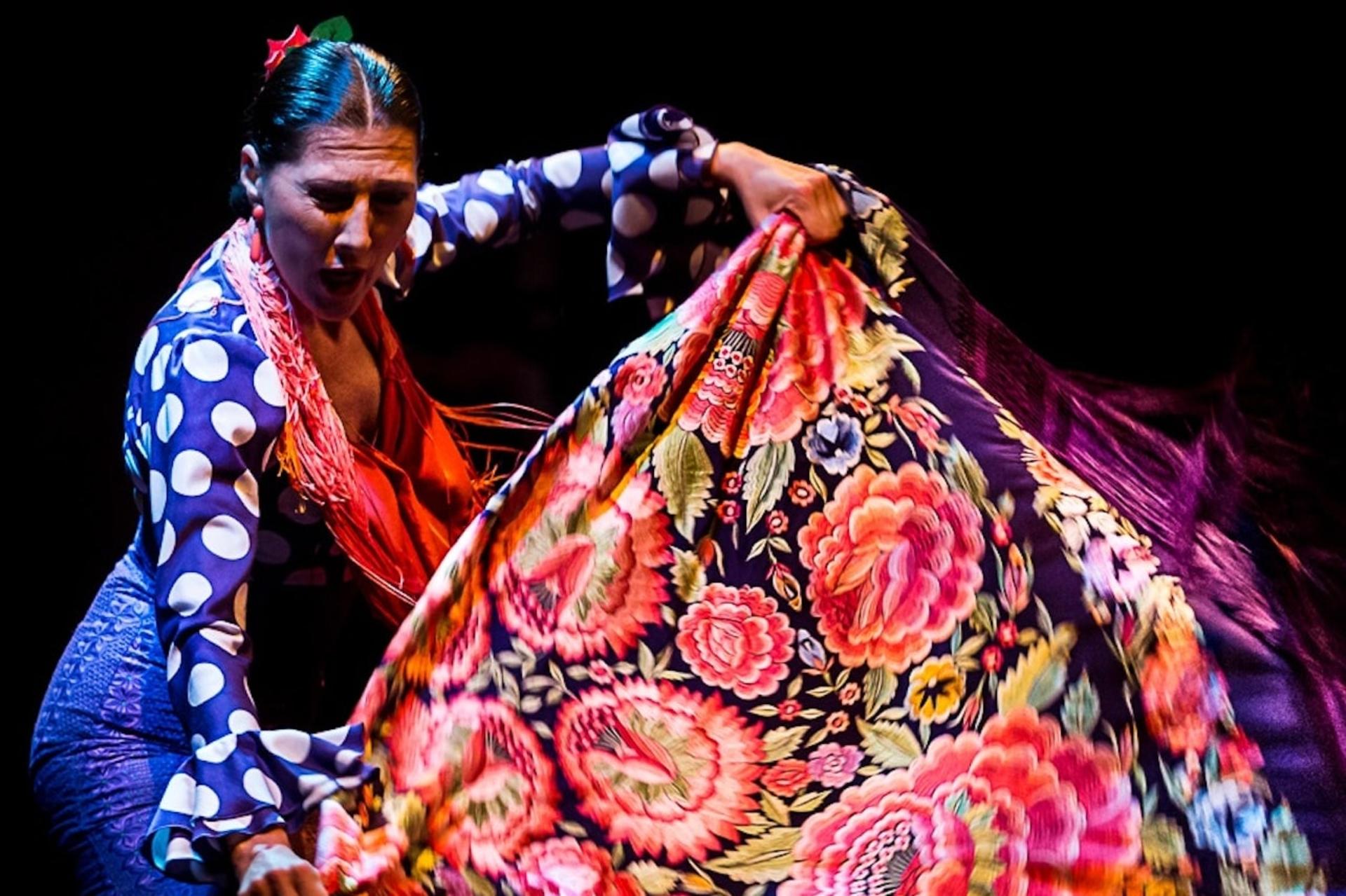 The Flamenco Show with optional Dance Museum Admission in Seville - Thumbnail 6