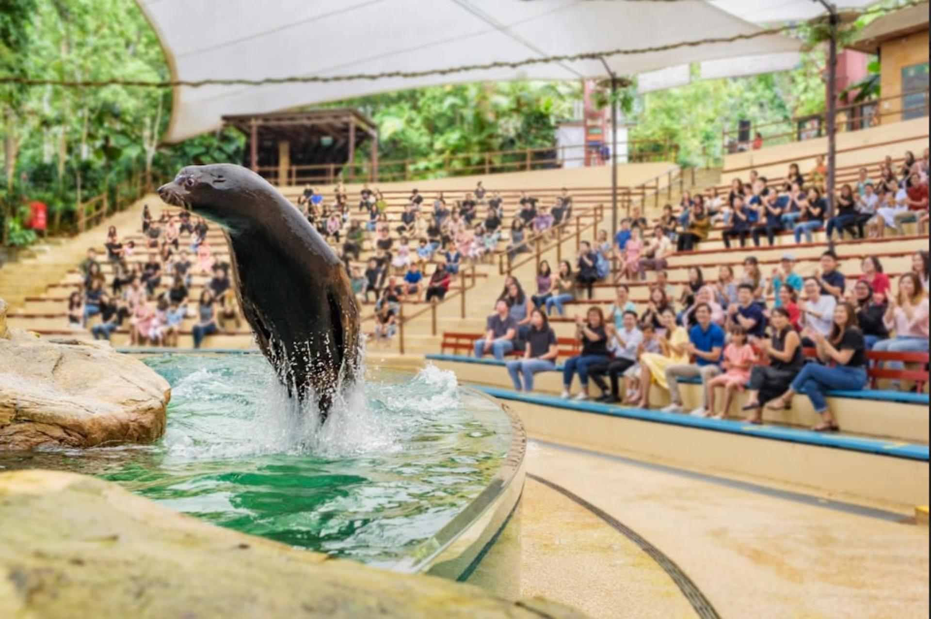 Singapore Zoo Ticket | Mandai Wildlife Reserve, Singapore - Thumbnail 3
