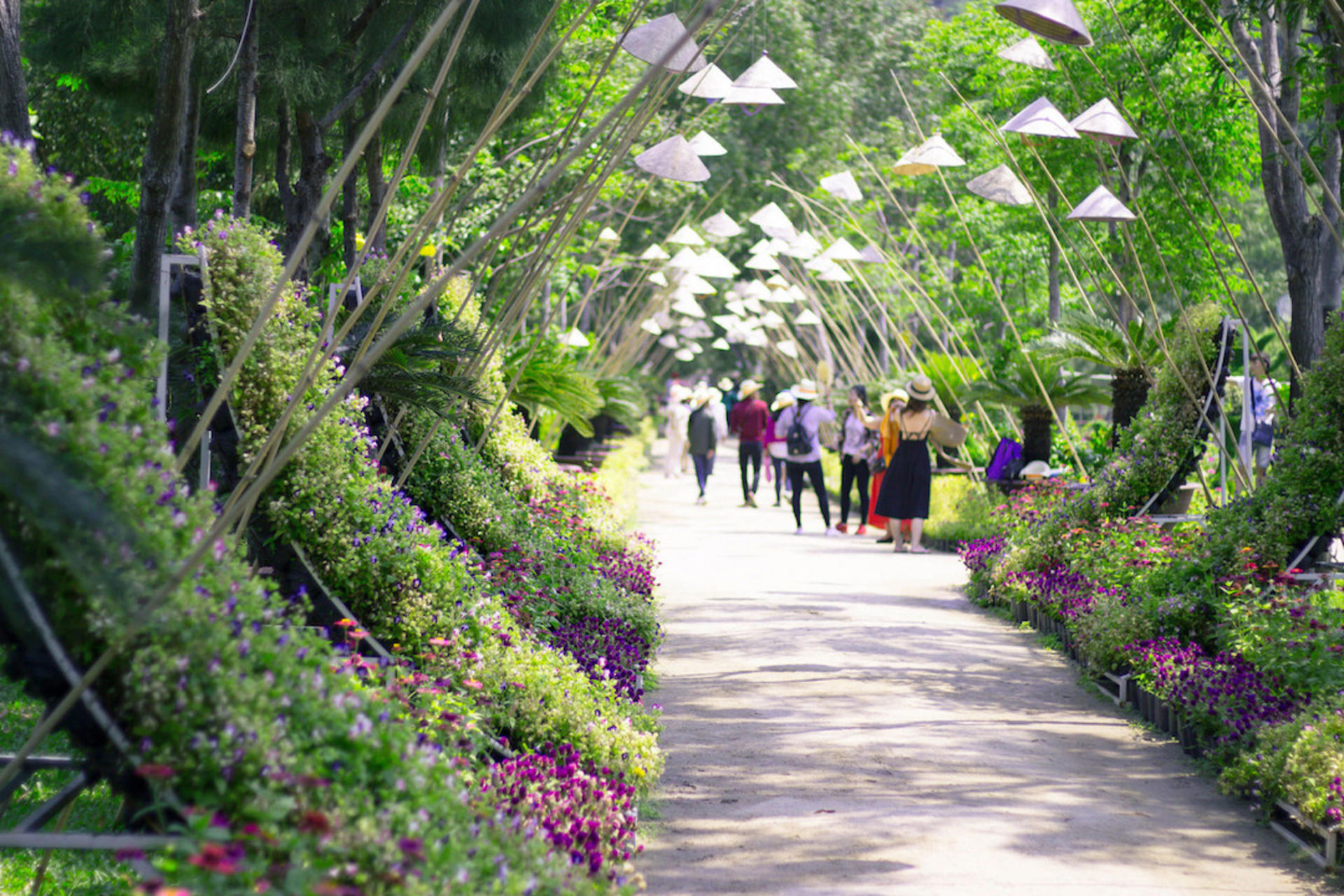 Nha Phu Bay Day Tour - Thumbnail 5