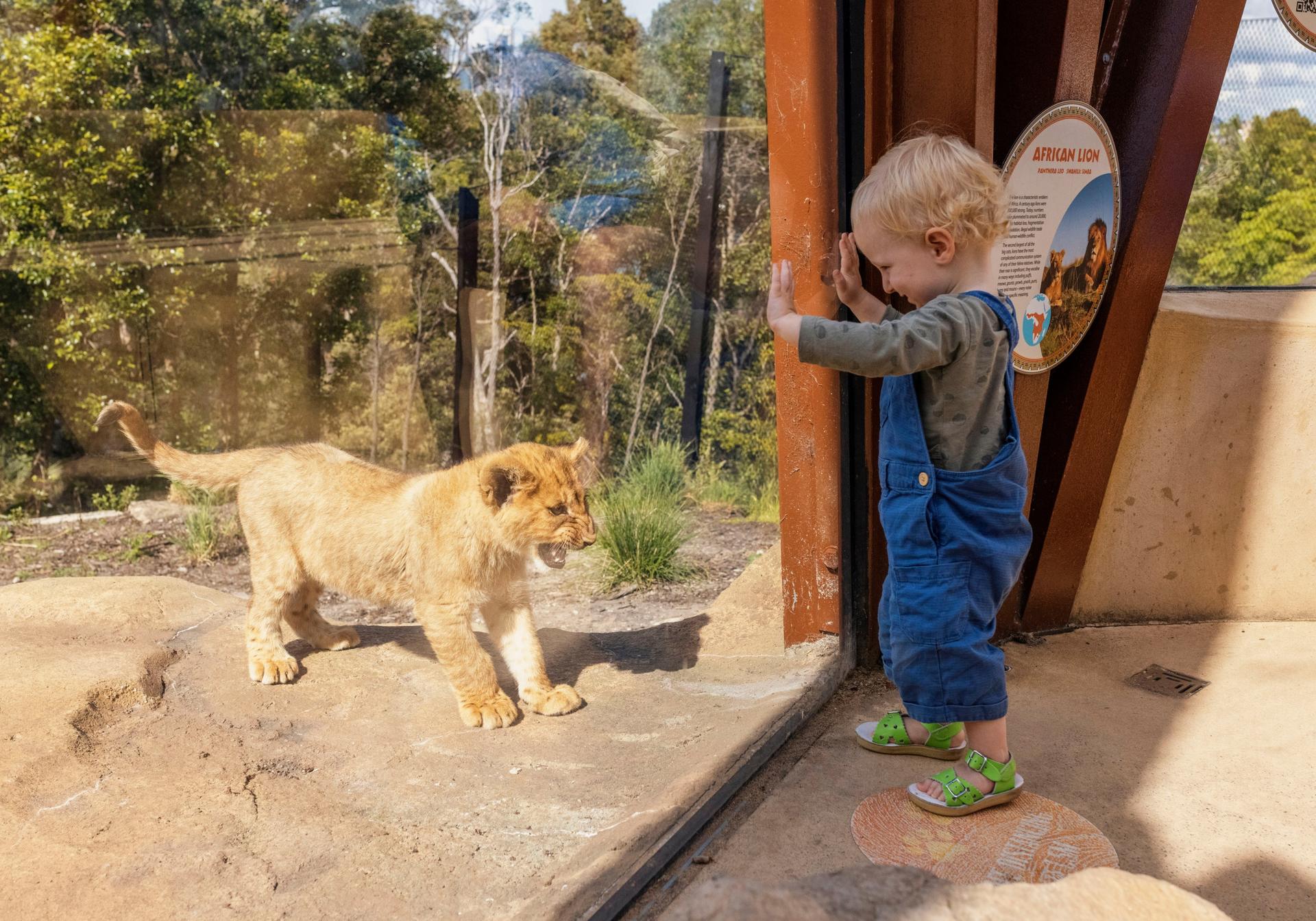 Taronga Zoo Sydney Ticket - Thumbnail 8