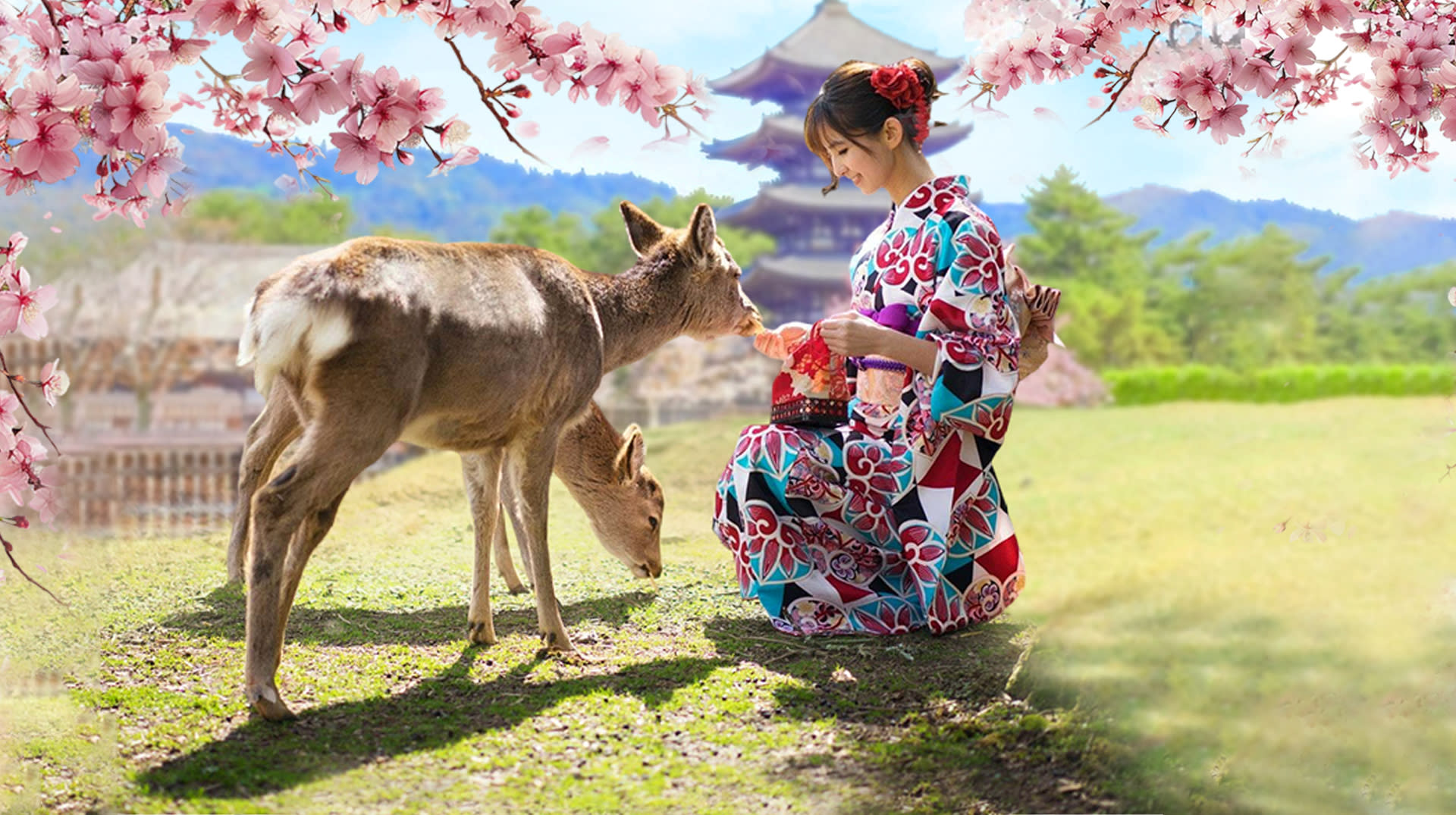 Kyoto Arashiyama Scenic & Cultural Exploration and Nara Adorable Deer Fun Experience Day Tour - Thumbnail 6