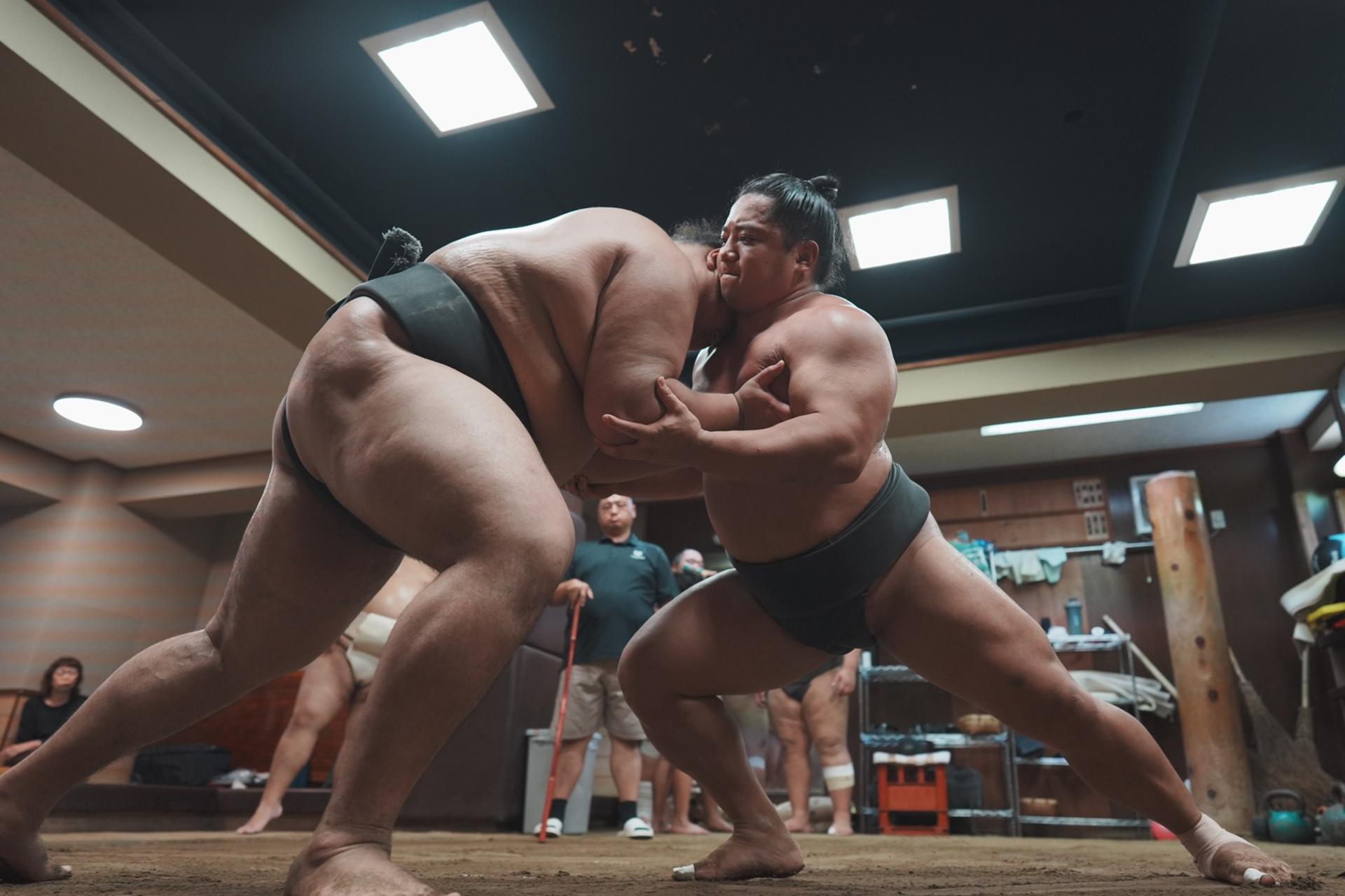 Tokyo Sumo Morning Practice Tour During Tournament Season - Thumbnail 4