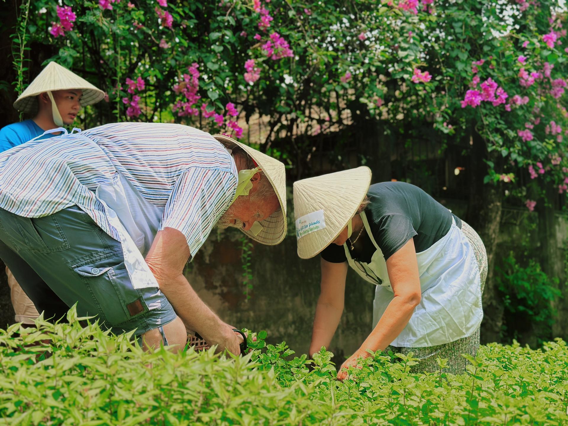 Private Farm Tour & Cooking Class in Ho Chi Minh City - Thumbnail 2