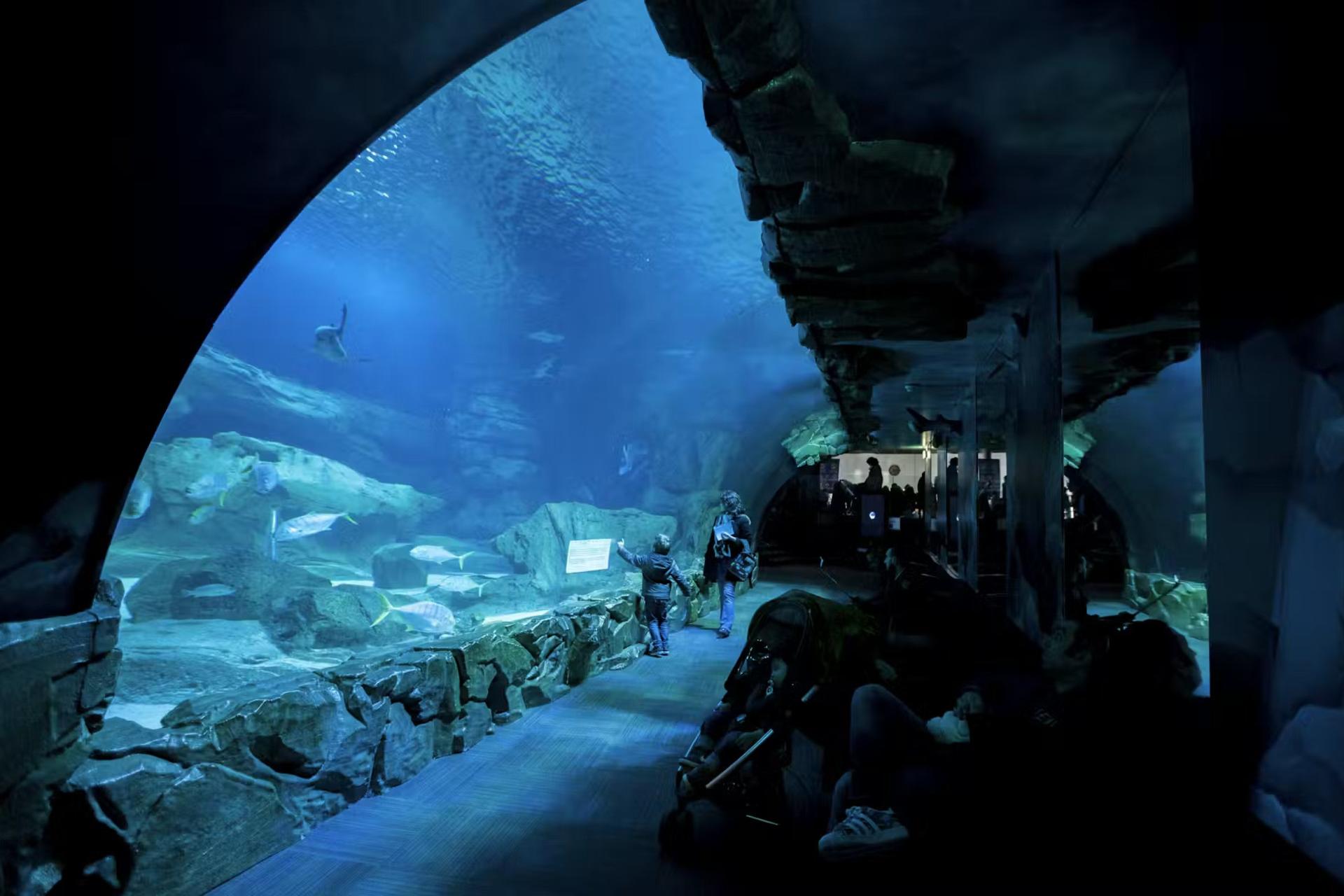 Aquarium de Paris Admission in Paris - Thumbnail 5