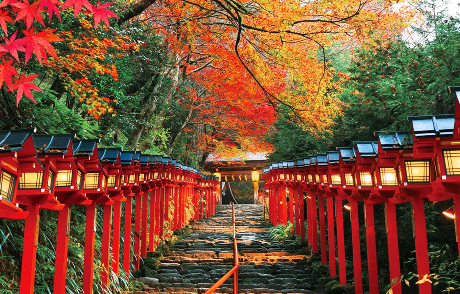 Kyoto Sanzen-in, Kifune Shrine, and Arashiyama Small Group Day Tour (Driver-Guide Service) - Image 1