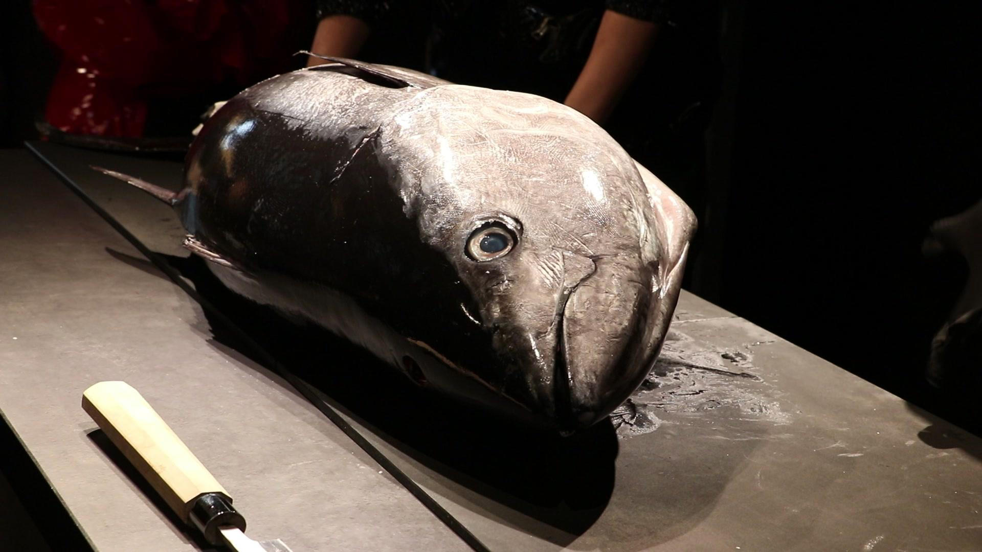 Tokyo: Tuna Cutting Show with Unlimited Sushi & Drinks - Thumbnail 6