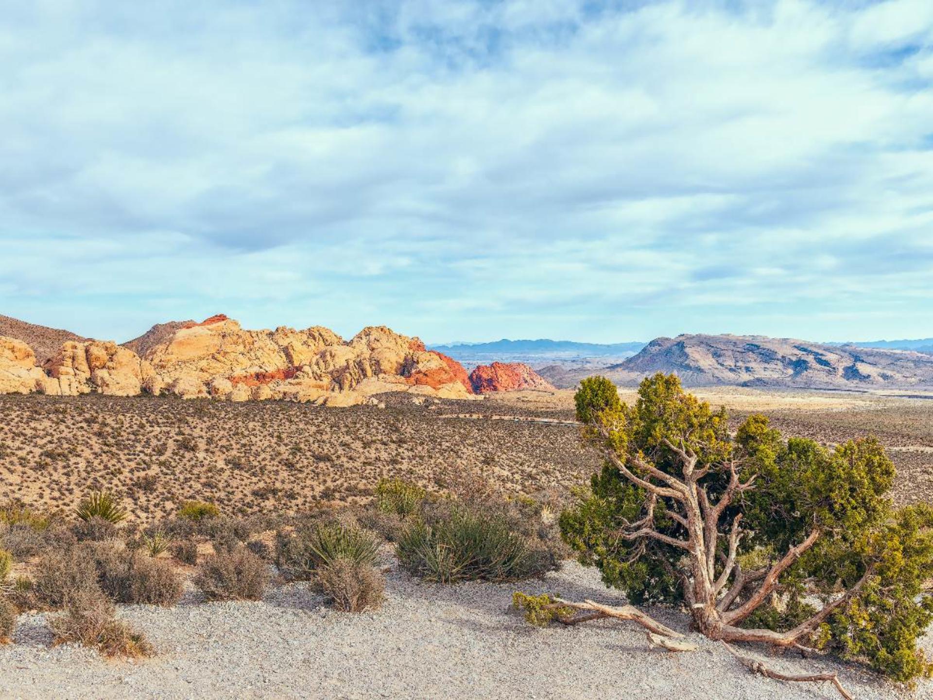 Red Rock Canyon Driving Trip - Thumbnail 9