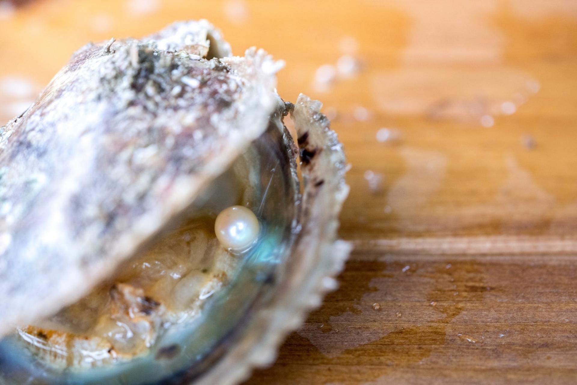 Sai Kung Pearl Workshop - Image 1