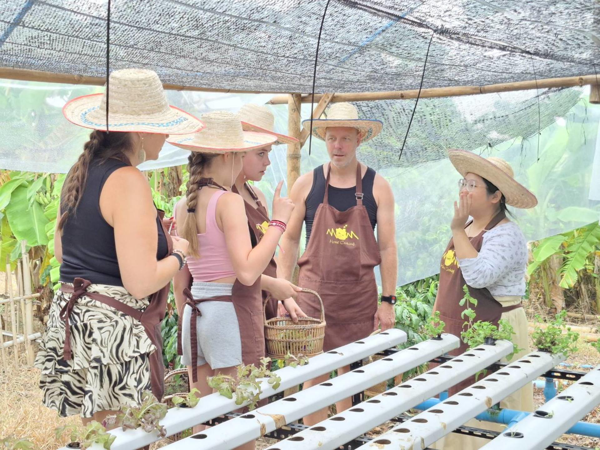 Chiang Mai Thai Cooking Class, Organic Farm Visit, and Scenic Train - Thumbnail 2