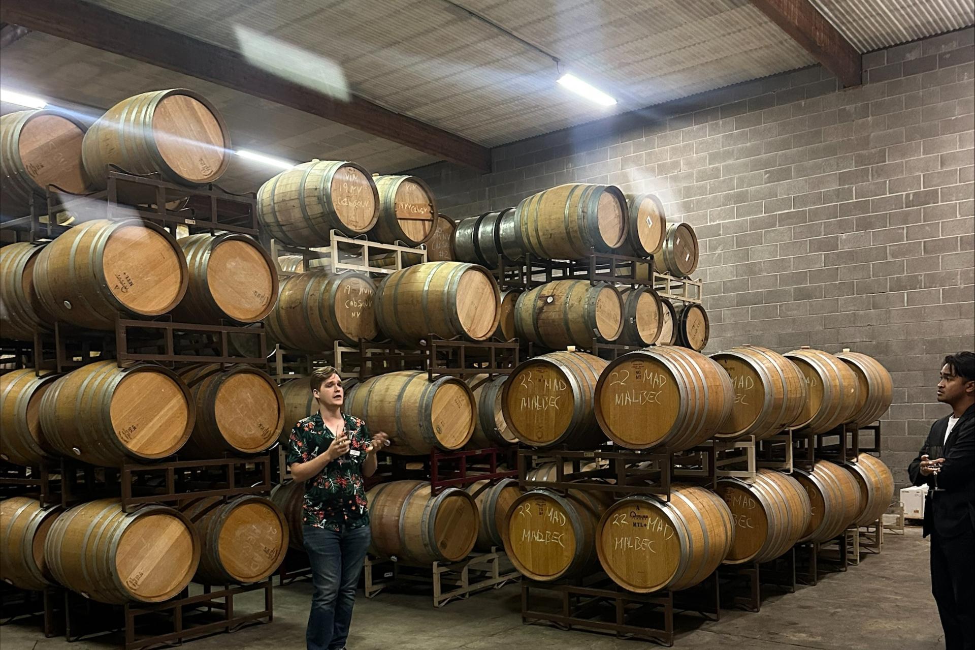 Half-Day Wine Tasting Tour from San Francisco - Image 1
