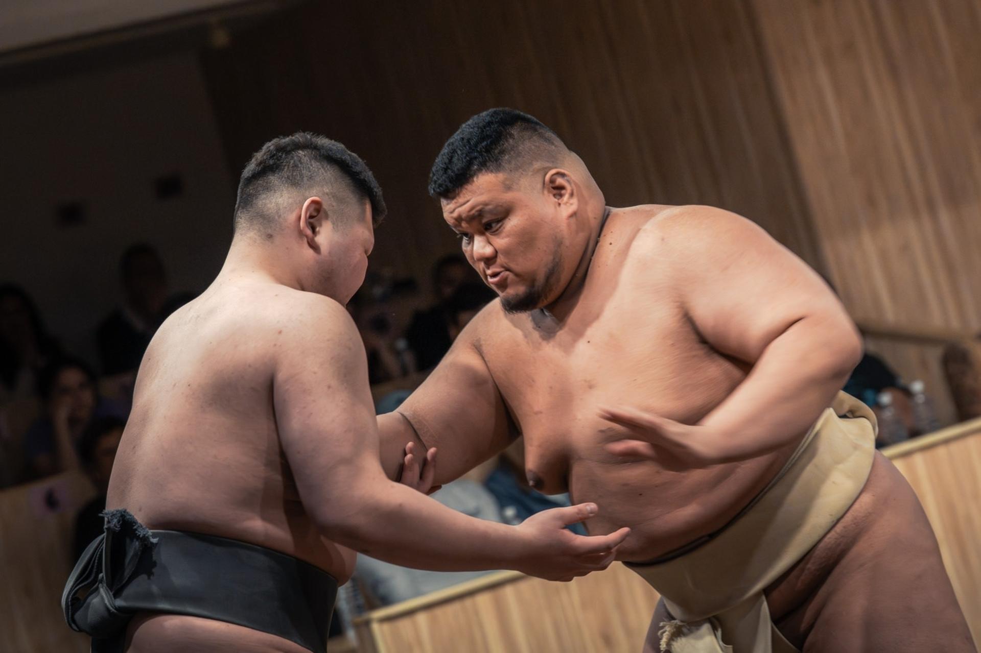 Tokyo: Sumo Live Show with Photo in Shinjuku - Image 1