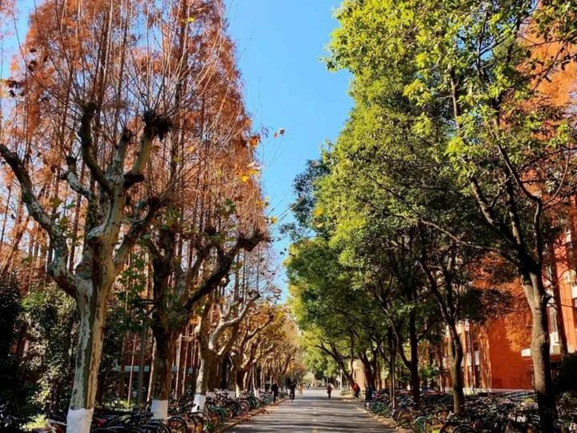 Shanghai Fudan University & Museum Full-Day Discovery - Thumbnail 5