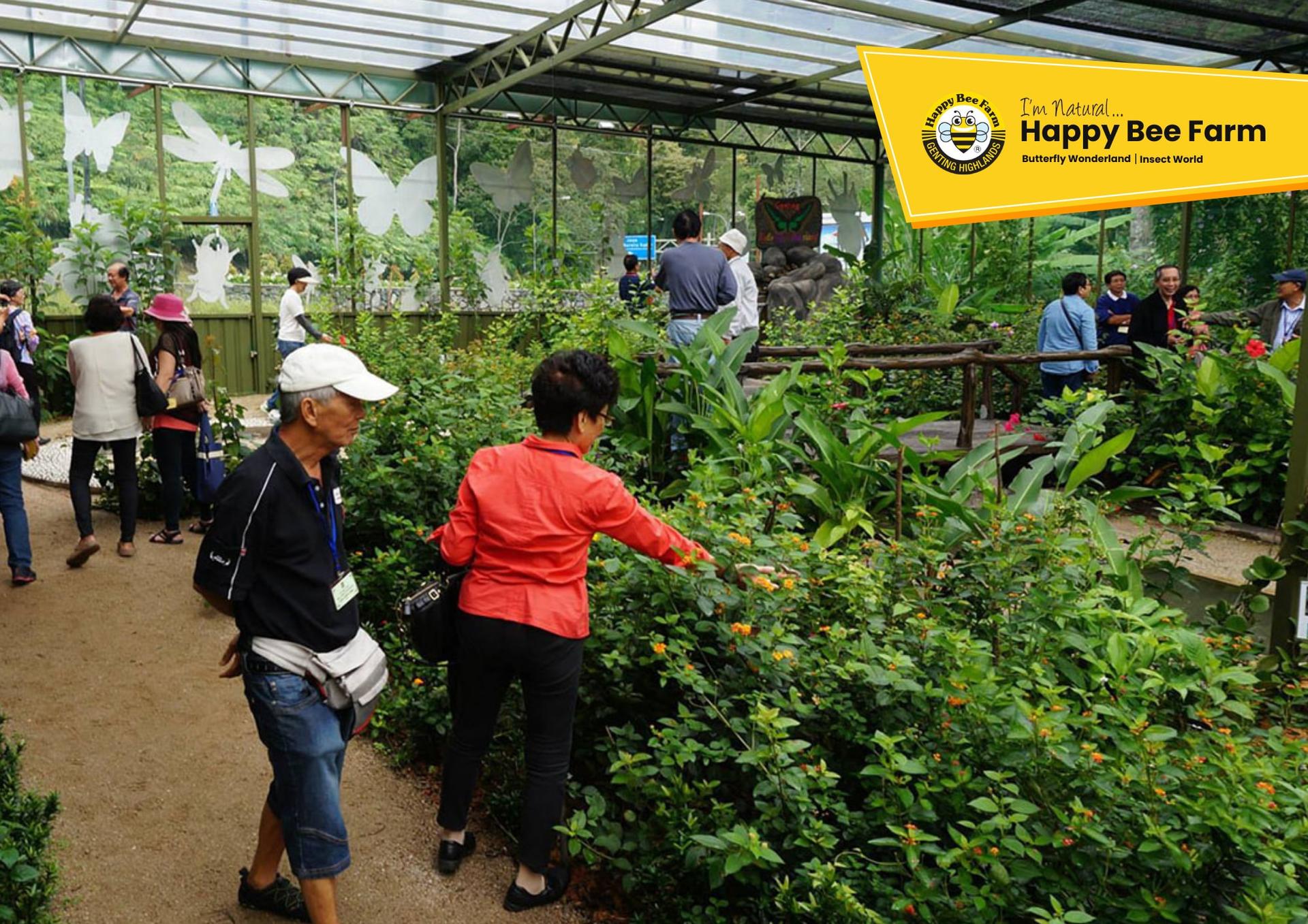 Happy Bee Farm Admission Ticket in Genting Highlands - Thumbnail 6