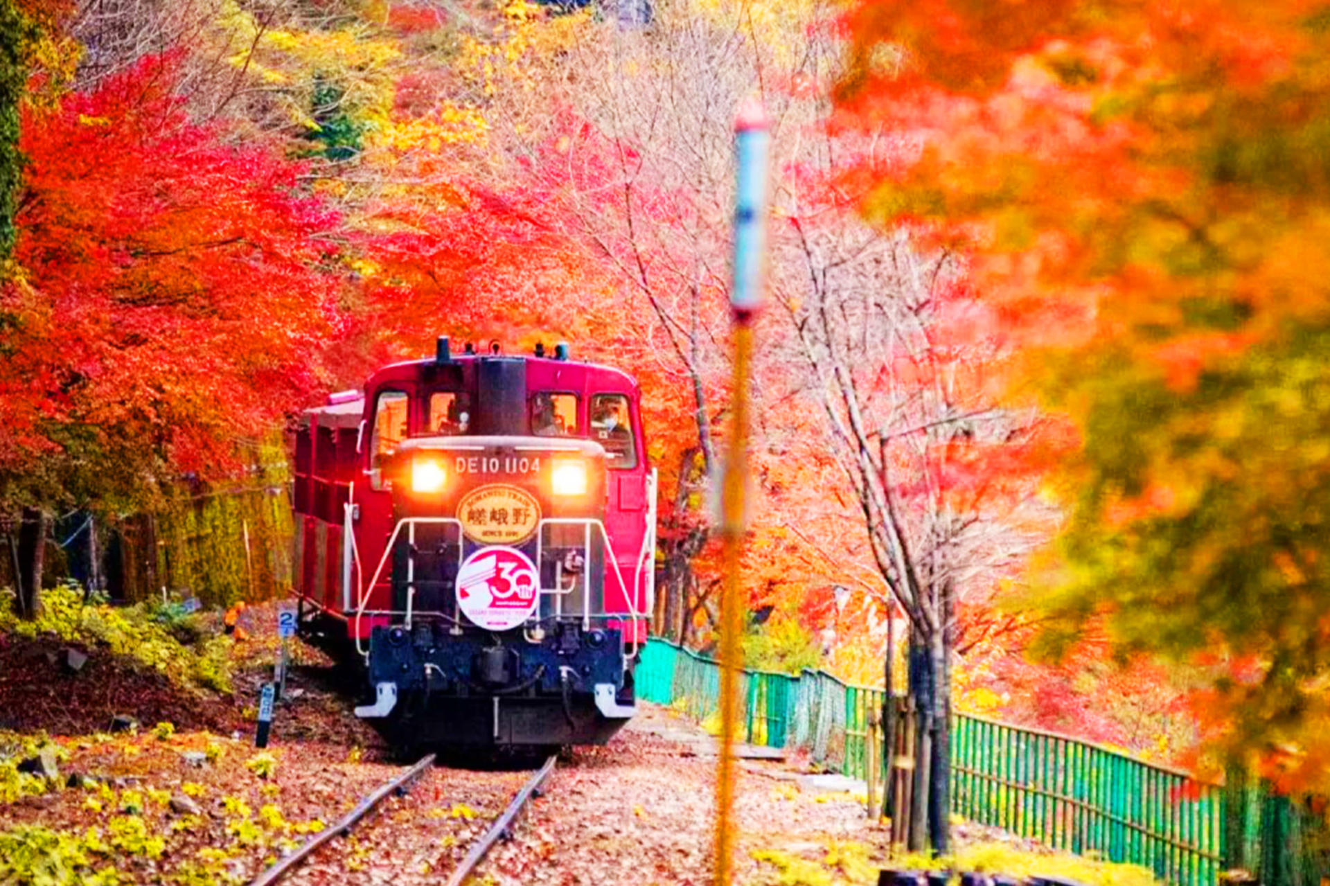 Kyoto Dream Illumination Autumn Foliage Day Tour - Kinkaku-ji & Arashiyama (Includes Night Maple Train - Departing from Osaka/Kyoto) - Image 1