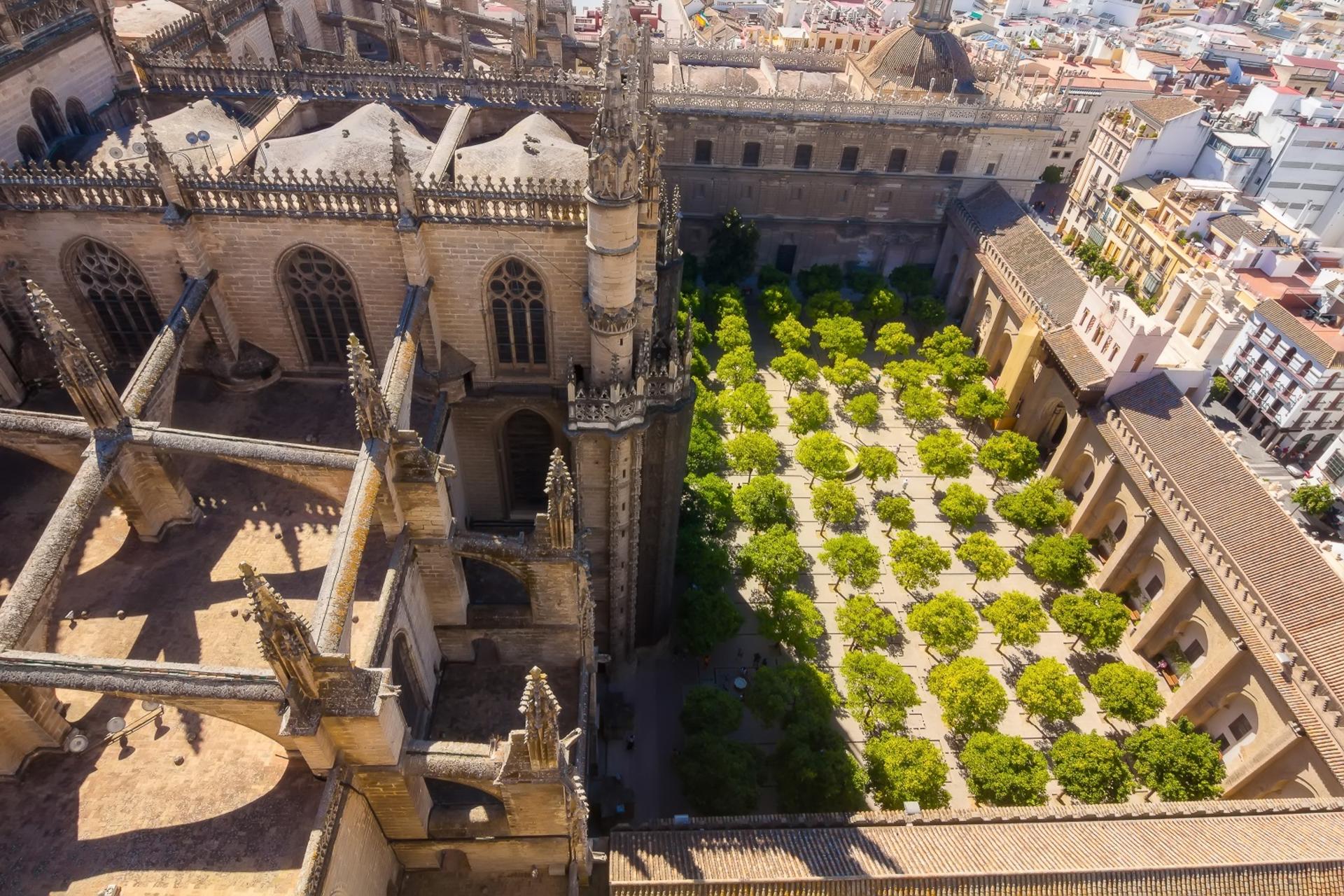 Cathedral and the Giralda Tour in Seville - Thumbnail 5