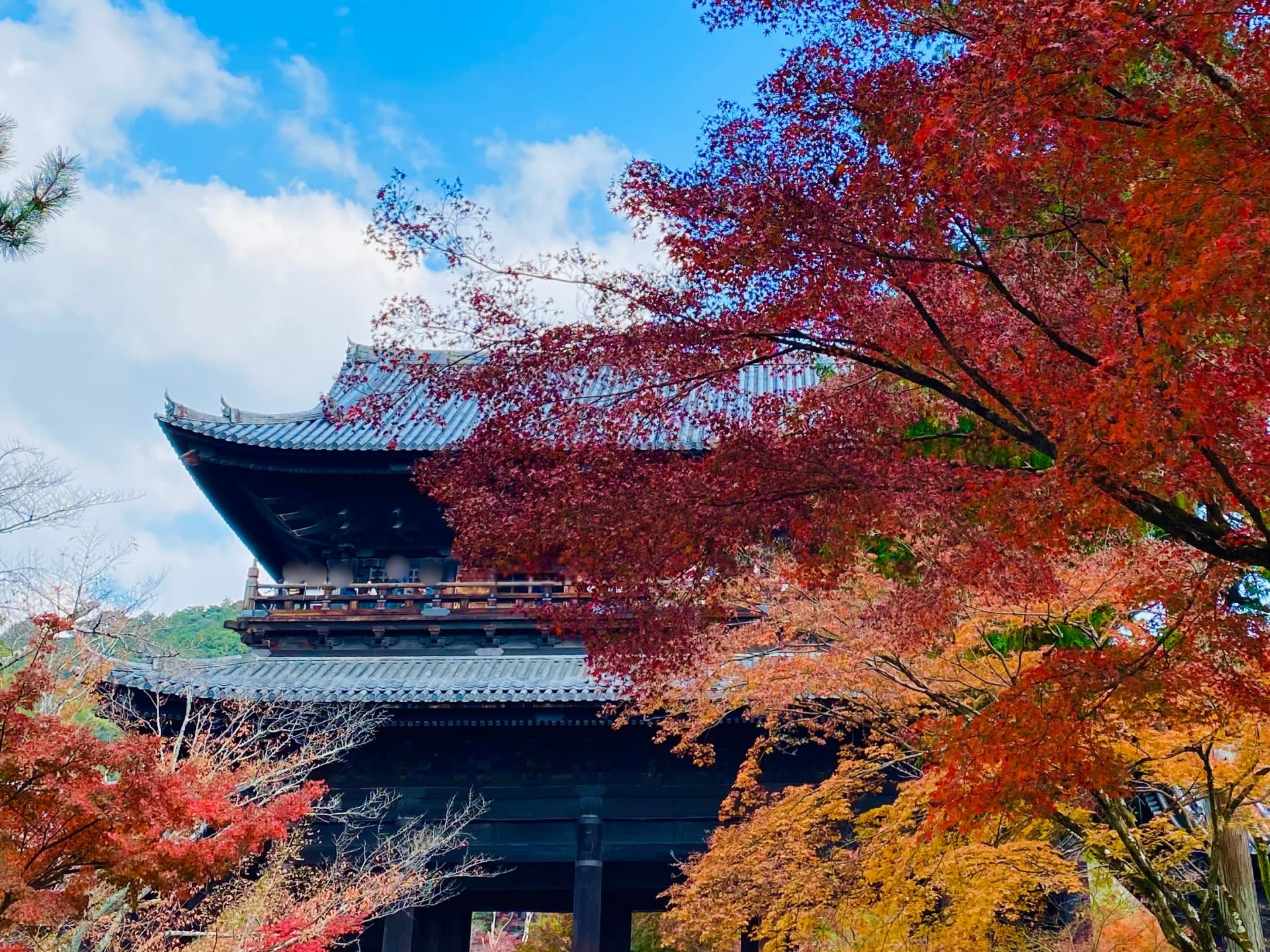 Bamboo Artistry & Zen Serenity Tranquility with Ginkaku-ji in Kyoto - Image 1