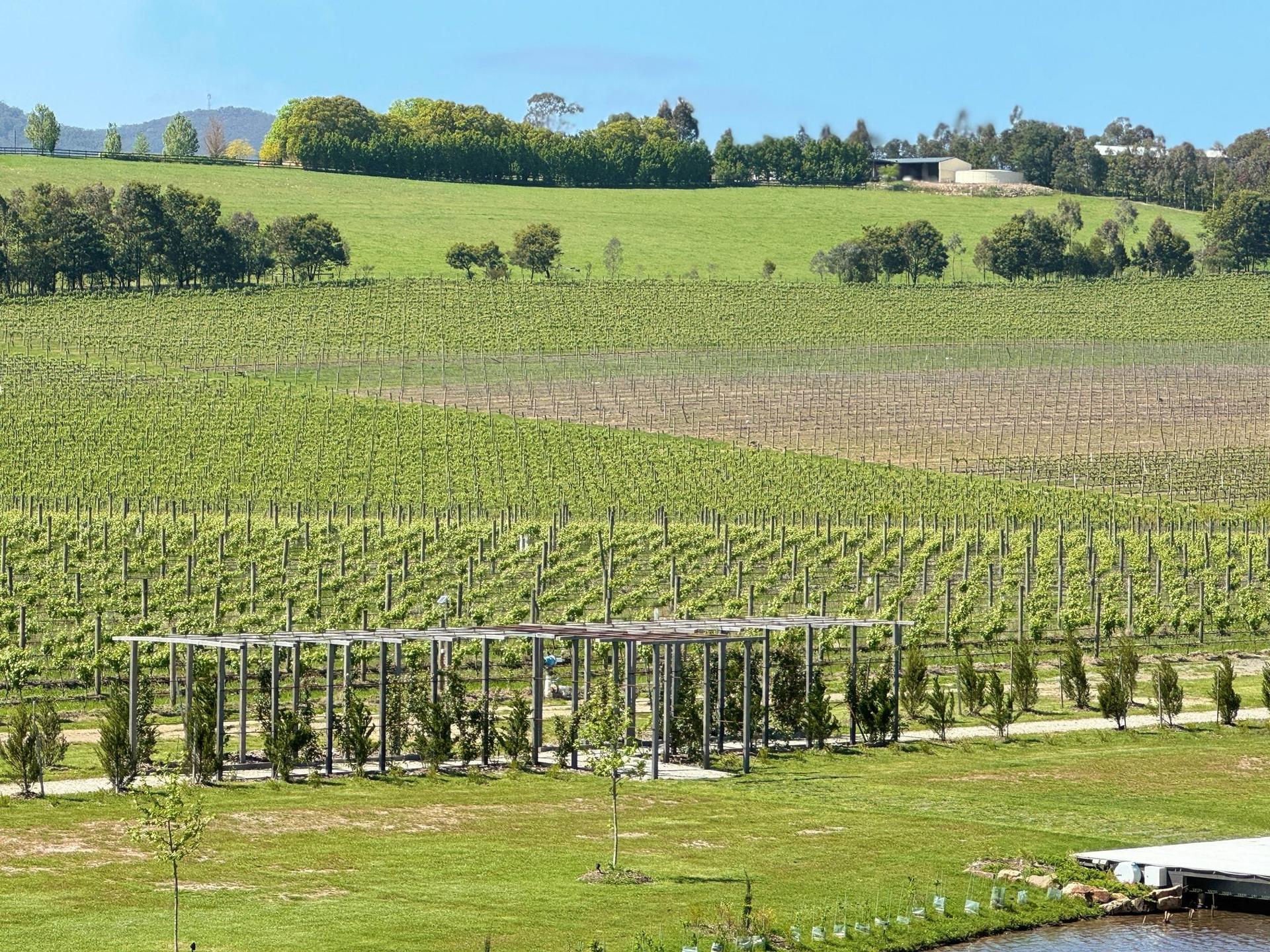 Melbourne: Private Yarra Valley Winery & Healesville Sanctuary Tours - Thumbnail 9