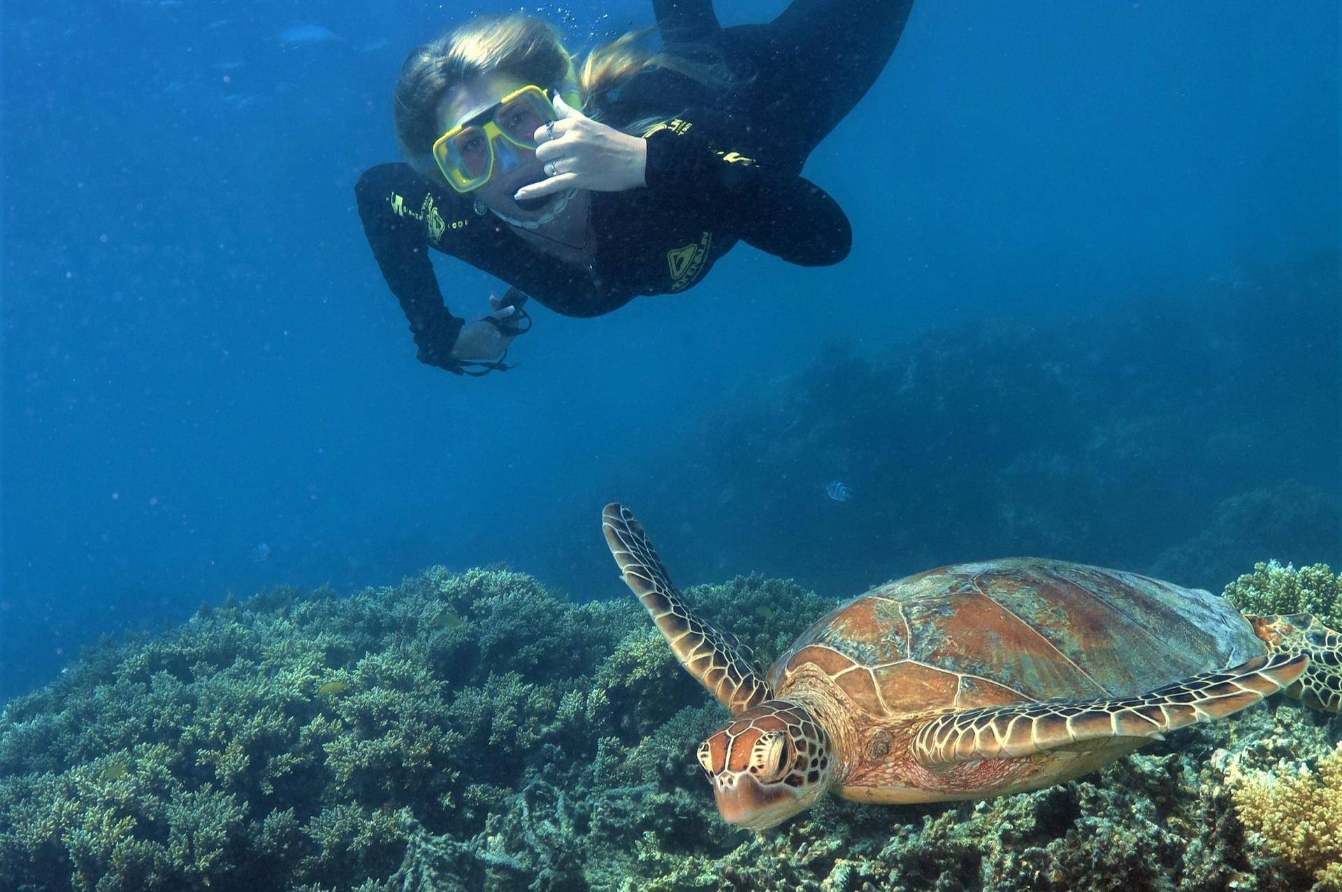 Great Barrier Reef Pontoon from Cairns including Snorkelling - Thumbnail 9