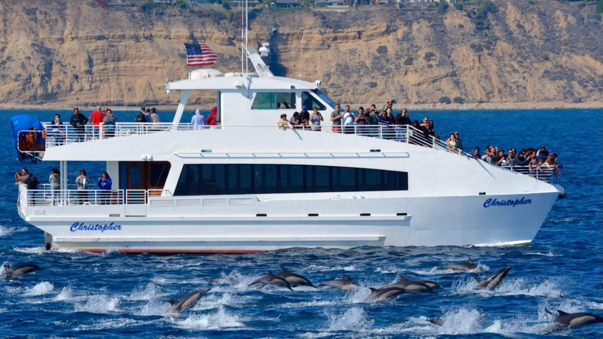 Whale Watching and Dolphin Tour from West Harbor, Los Angeles - Thumbnail 4