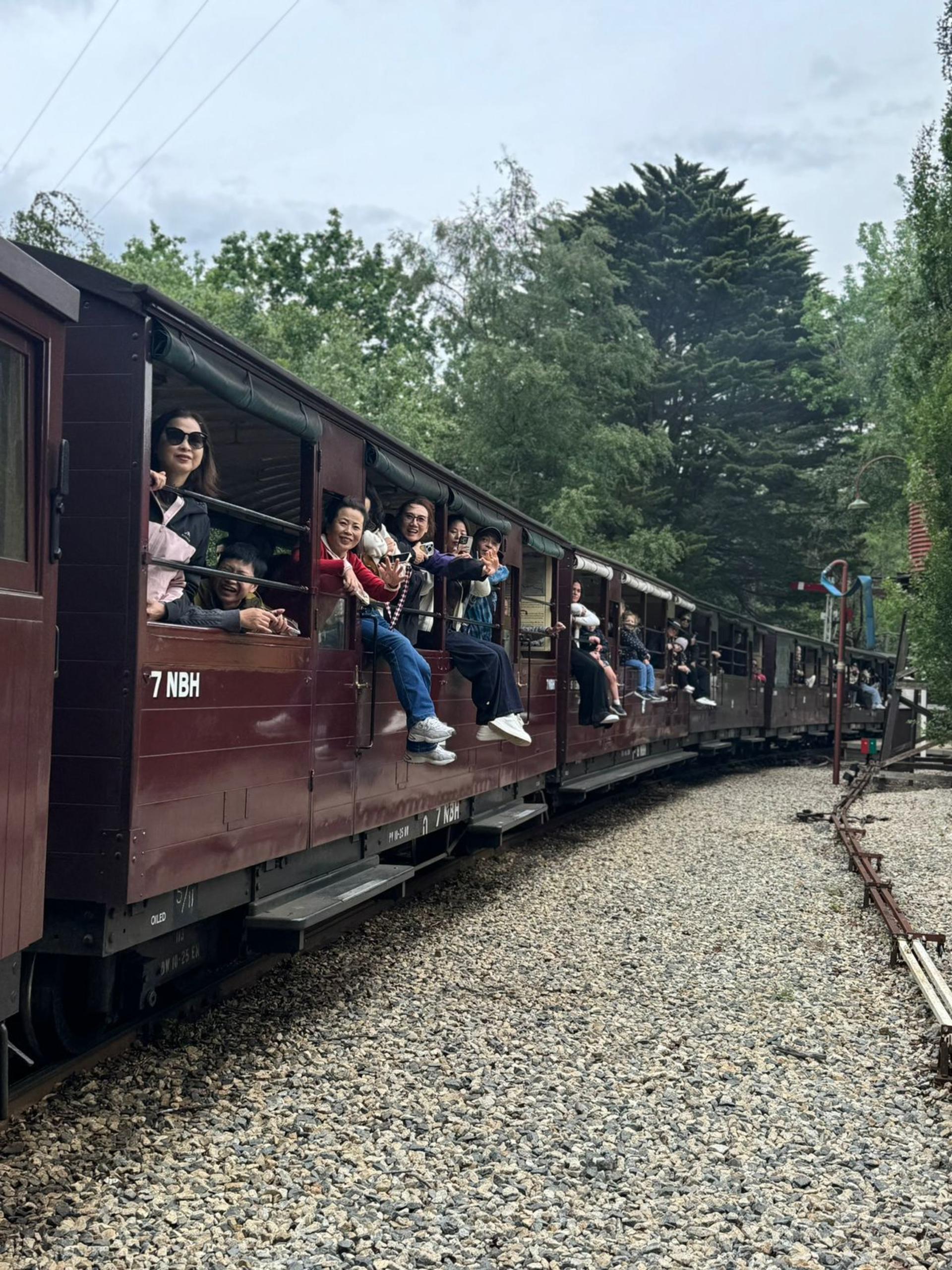 Melbourne Puffing Billy & Penguin Parade Private Tour - Thumbnail 35
